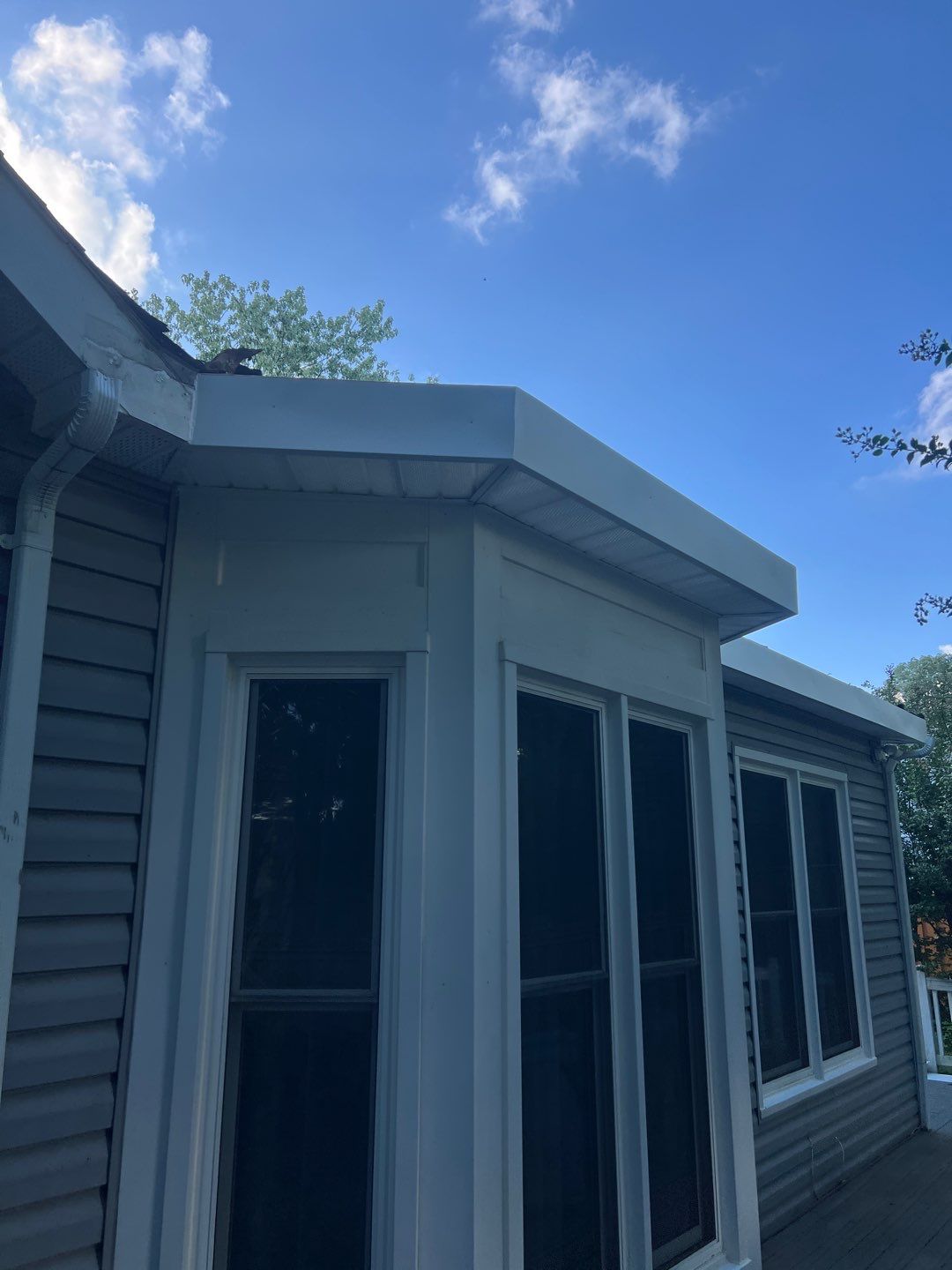 Alexandria: Residential Flat Roof Replacement with MuleHide TPO by RM Banning, Inc.