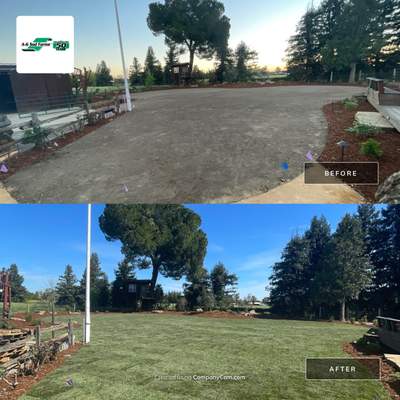 Project in Davis