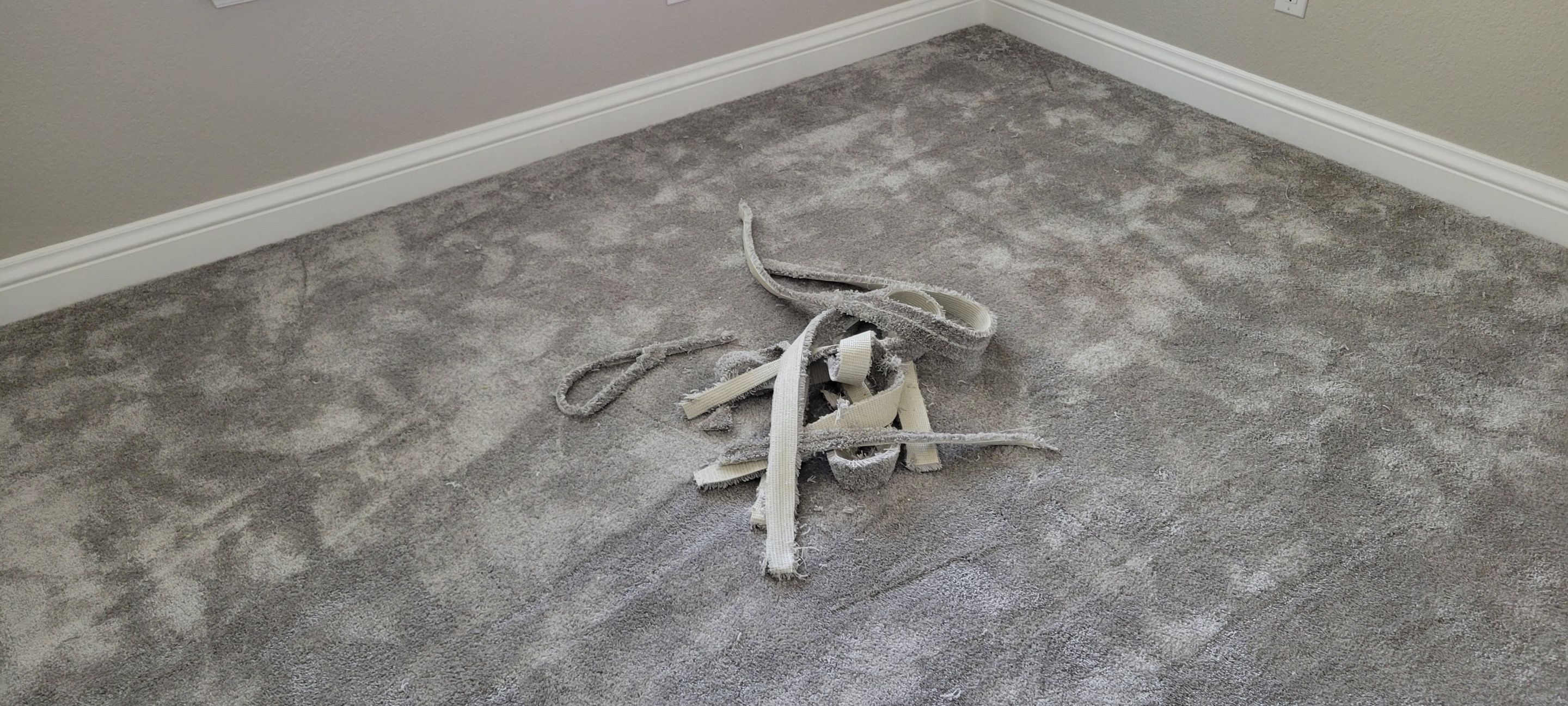 Stretching Out a Buckled Carpet by Ardent Carpet Restore LLC