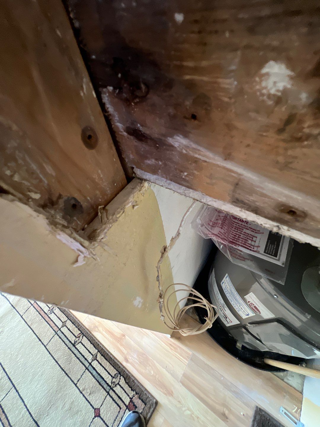 Bradenton Mold Remediation by Ampm Restoration Services