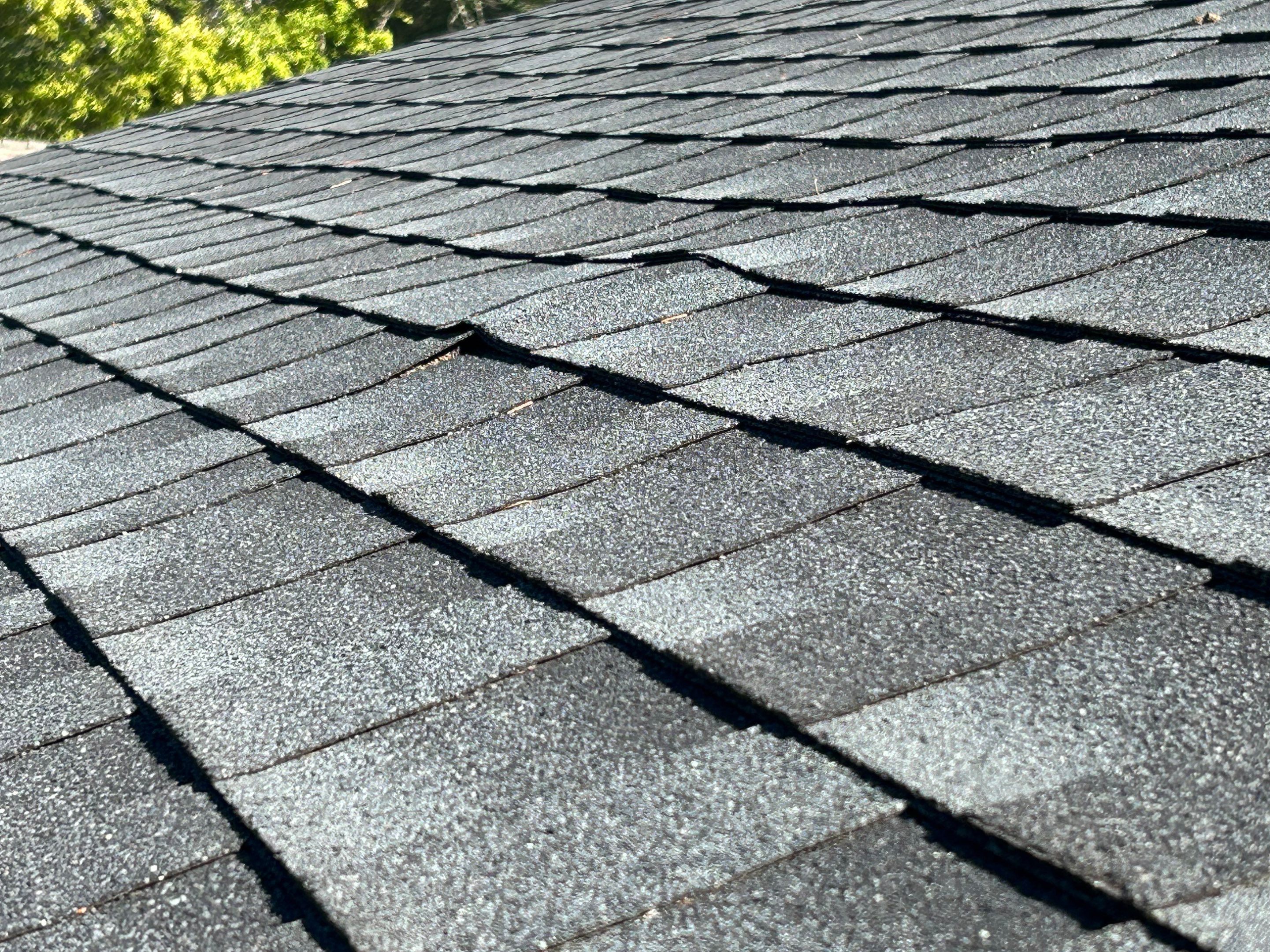 Prodigy Roof Solutions featured photo.