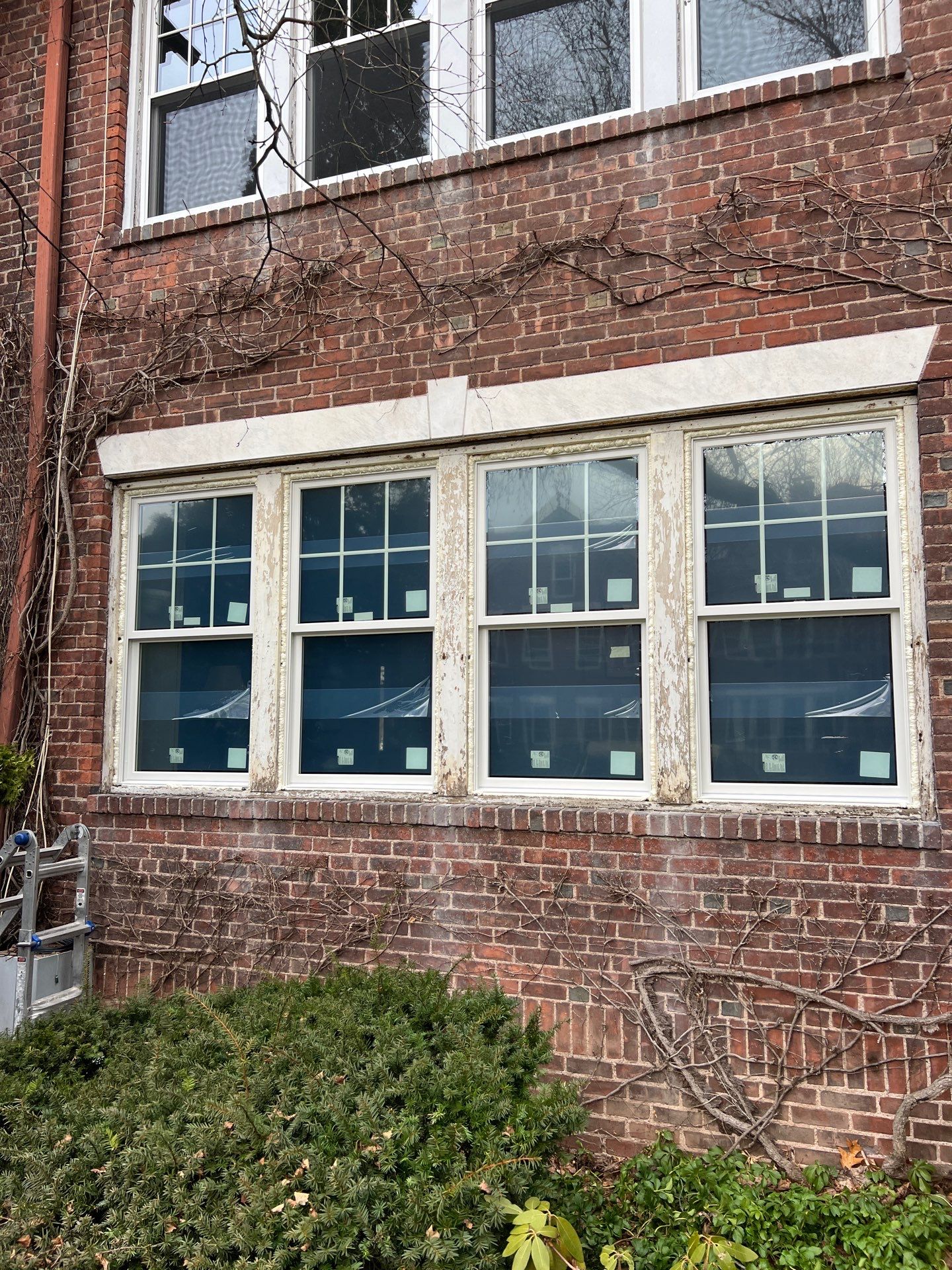 Multi-Window Upgrade for a Brighter, Updated Exterior by DiGiorgi Roofing and Siding Inc