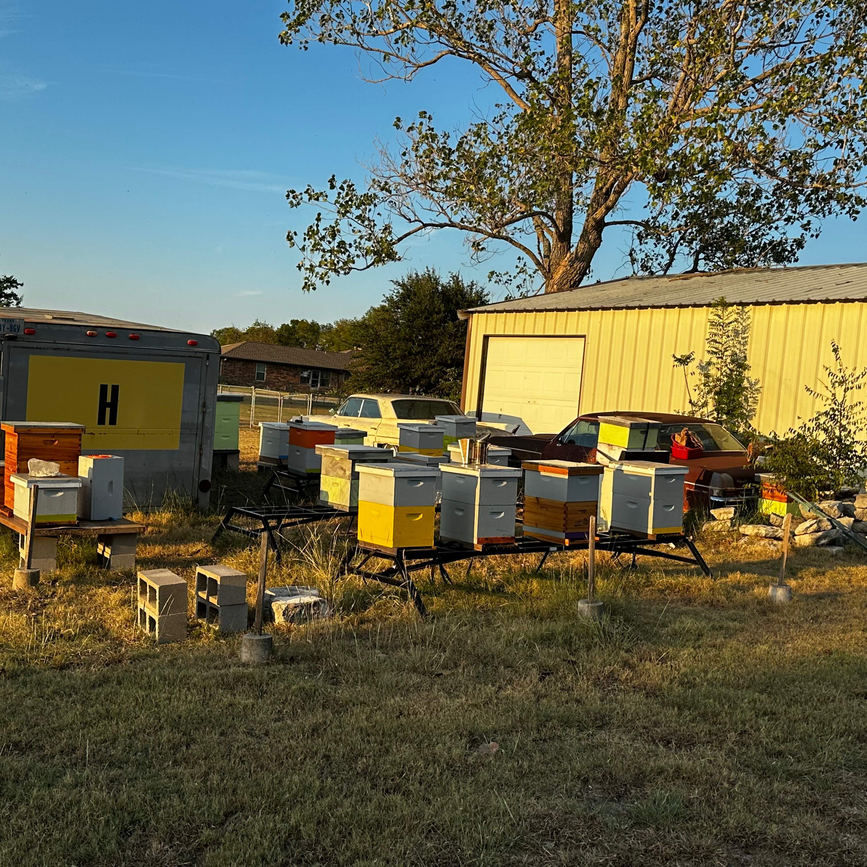 Rockwall Honey Bee Company HQ by Rockwall Honey Bee Company