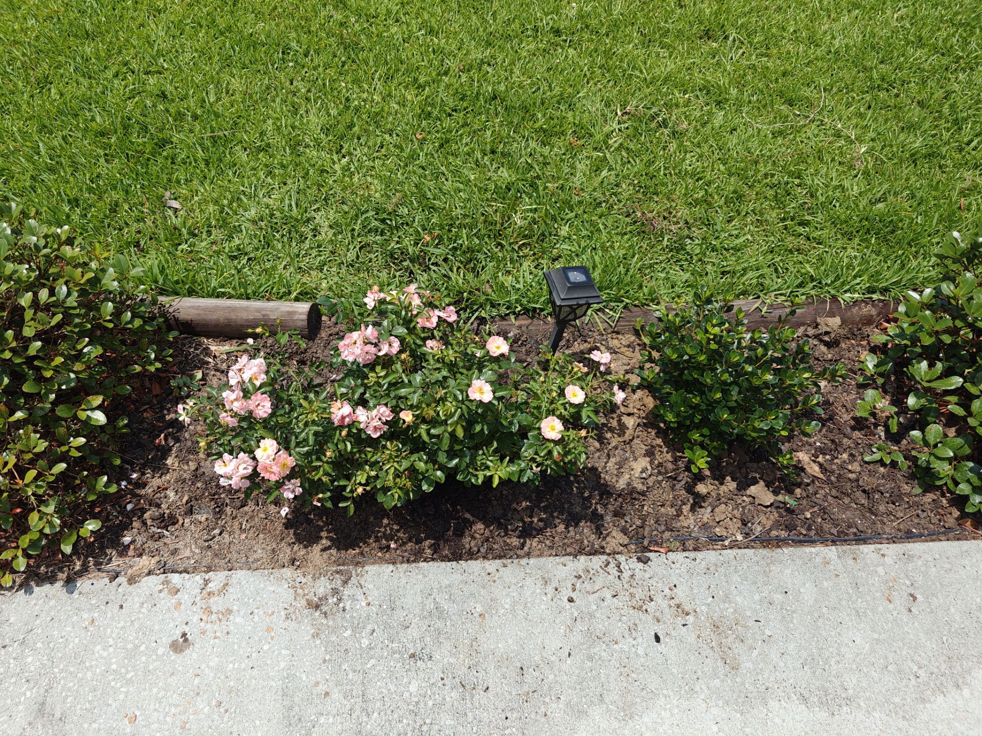 Weekly Landscaping  by College Bros Outdoor services