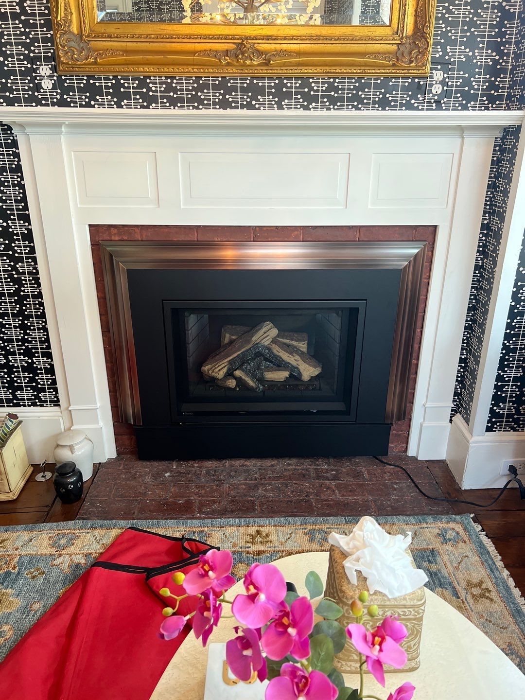 Gas Fireplace and Insert  by Neighborhood Chimney Services 