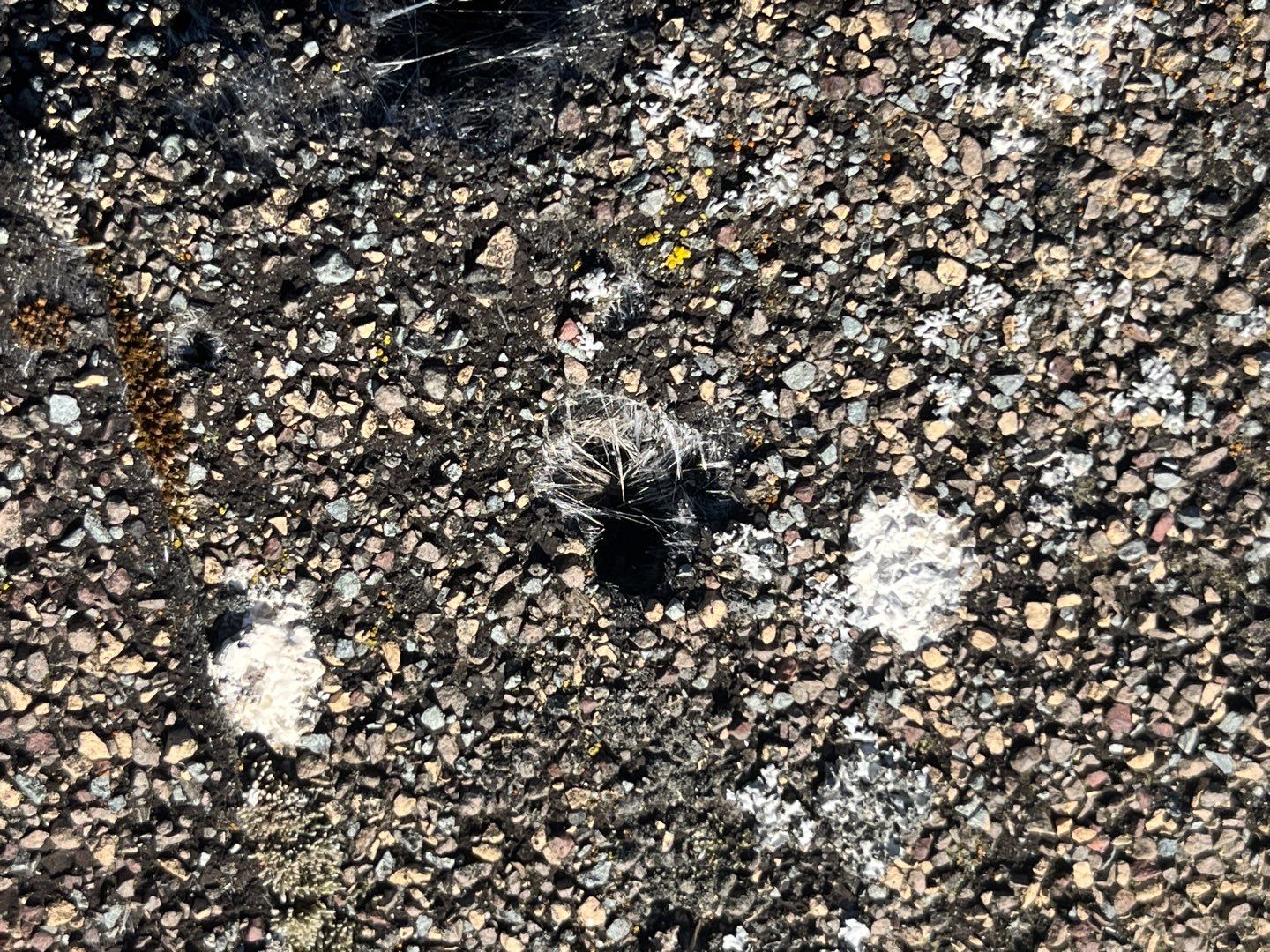 Residential Reroof Shingle - Weatherwood by Top Notch Roofing Inc