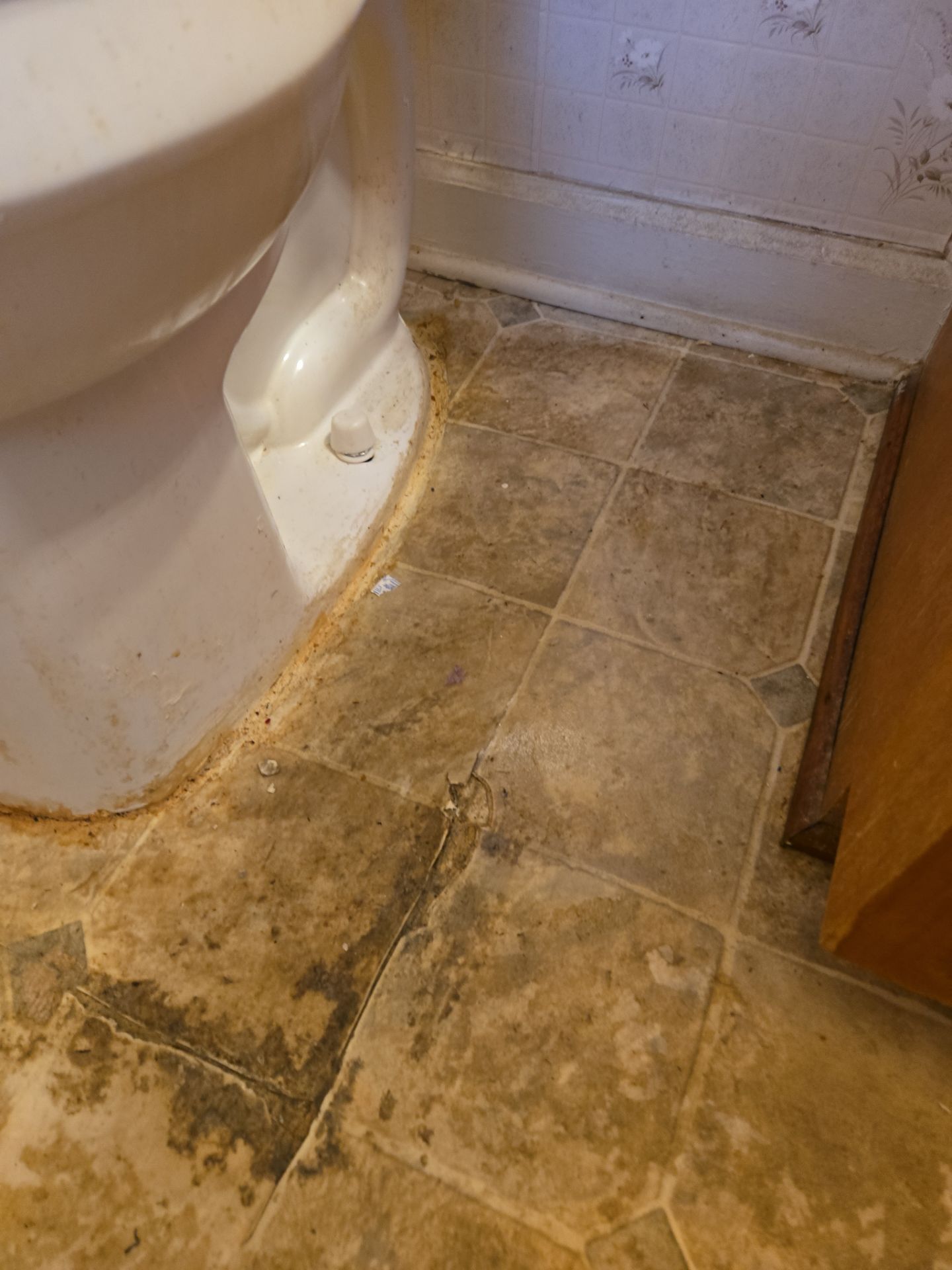 Leaky Toilet Disaster? We Fixed It! by A Step Above Handy LLC 