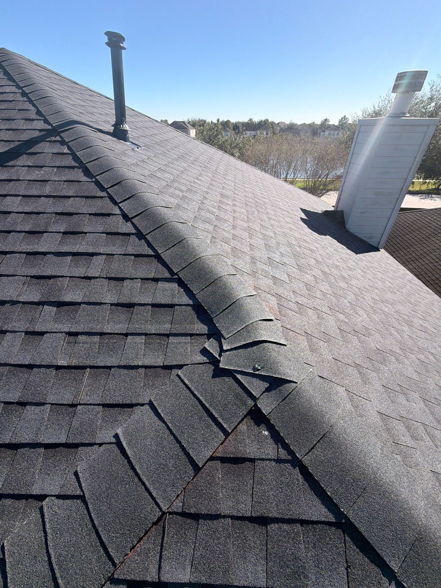 LEAH B by Boss Hogg Roofing