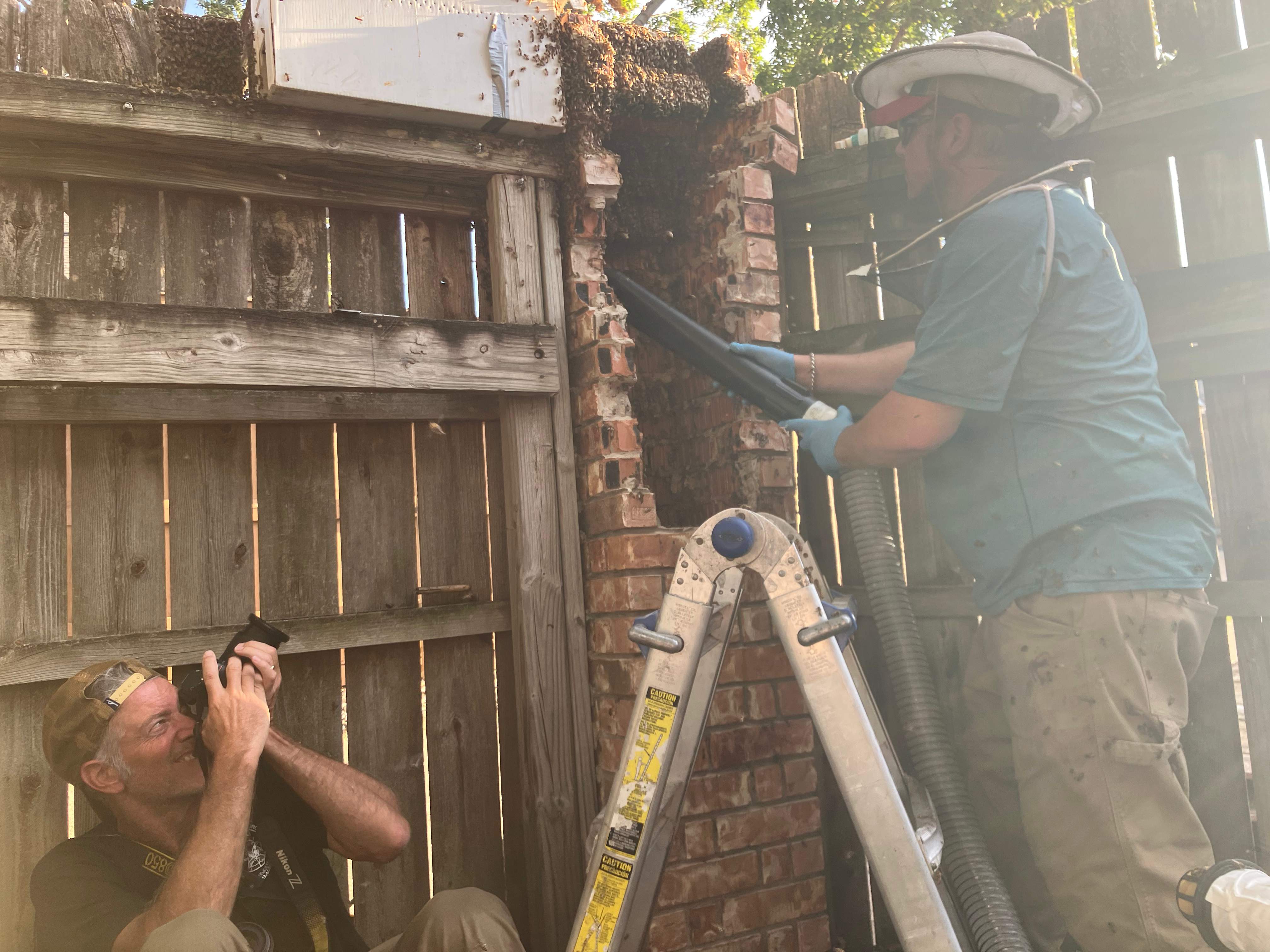 Brick Column by Rockwall Honey Bee Company