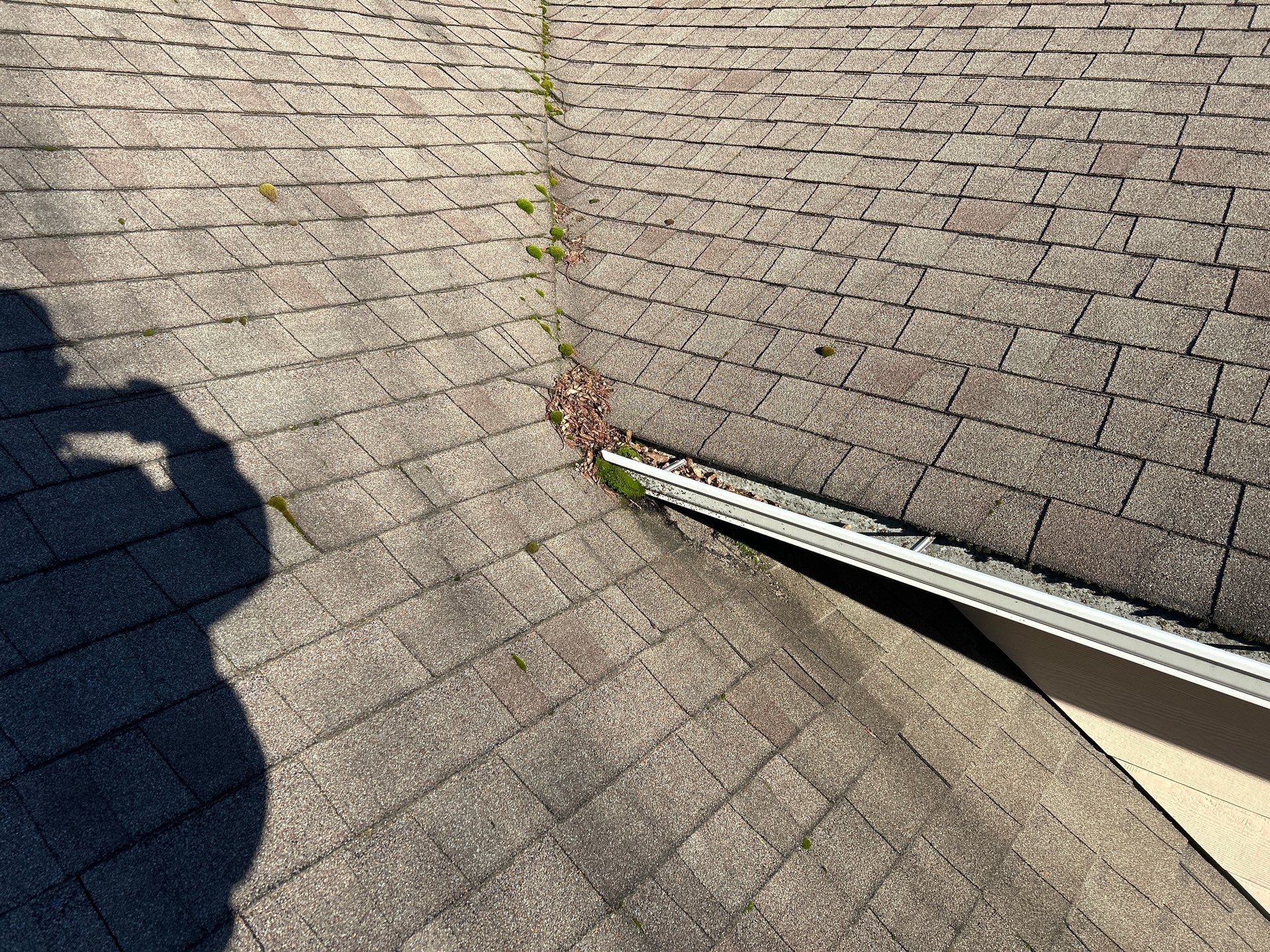 Project in Mount Vernon by Peaks and Valleys Construction