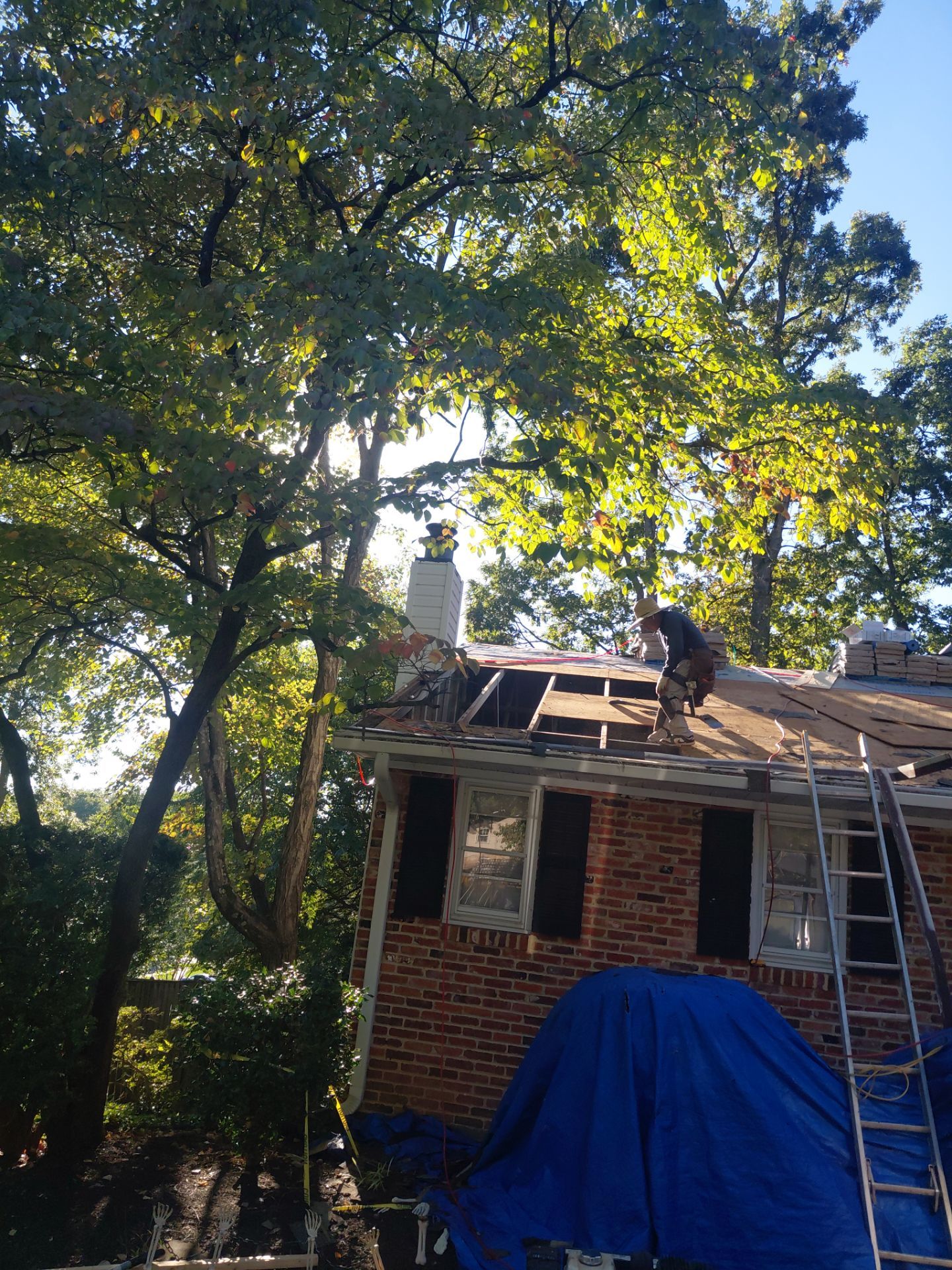 Falls Church: Residential Roof Replacement with CertainTeed Landmark in Moire Black  by RM Banning, Inc.