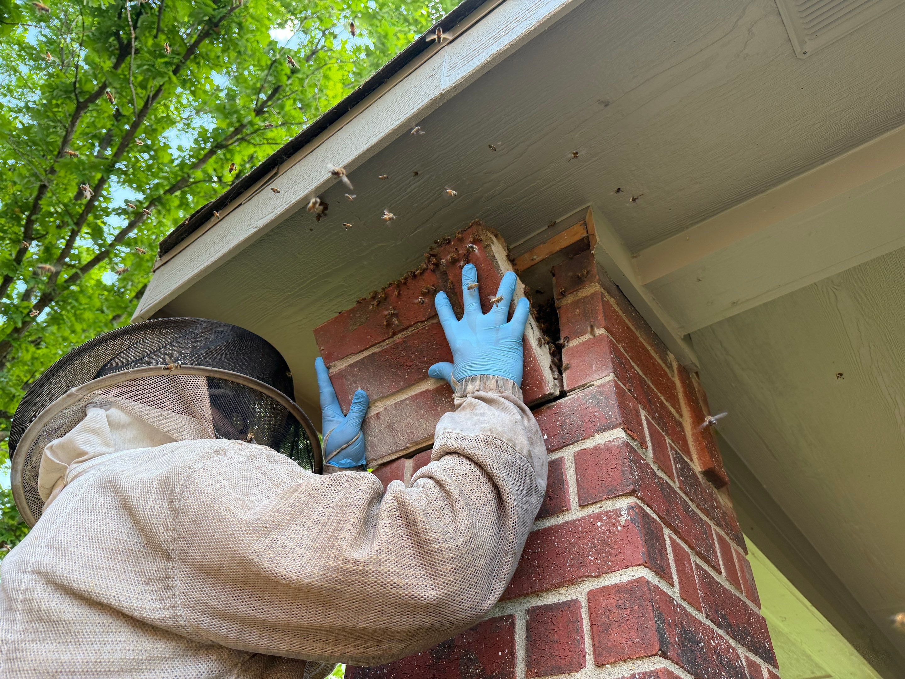 Brick Column by Rockwall Honey Bee Company