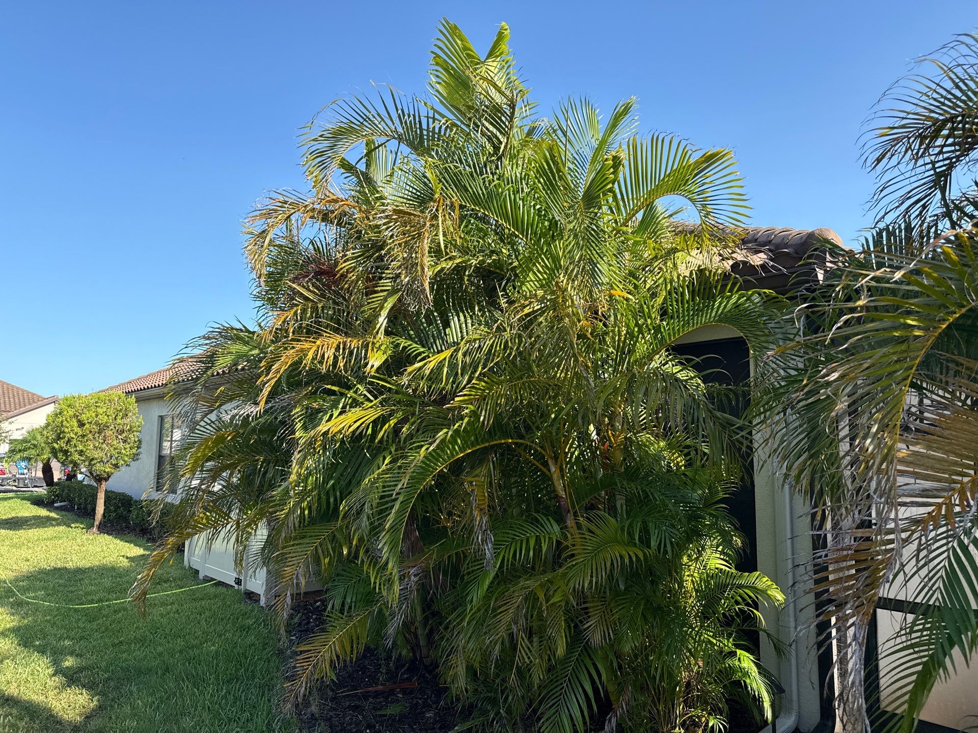 Concrete Tile Roof, Paver Driveway & Lanai Cleaning – Artisan Lakes Esplanade, Palmetto, FL by Sunshine AquaWash