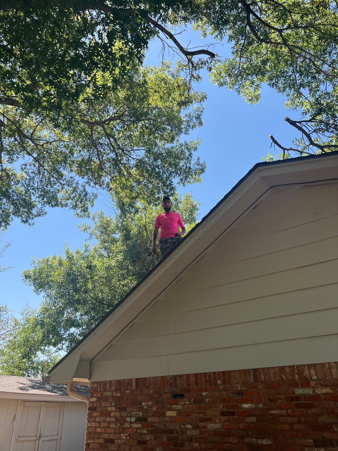 Tree Removals by Clays Services Inc