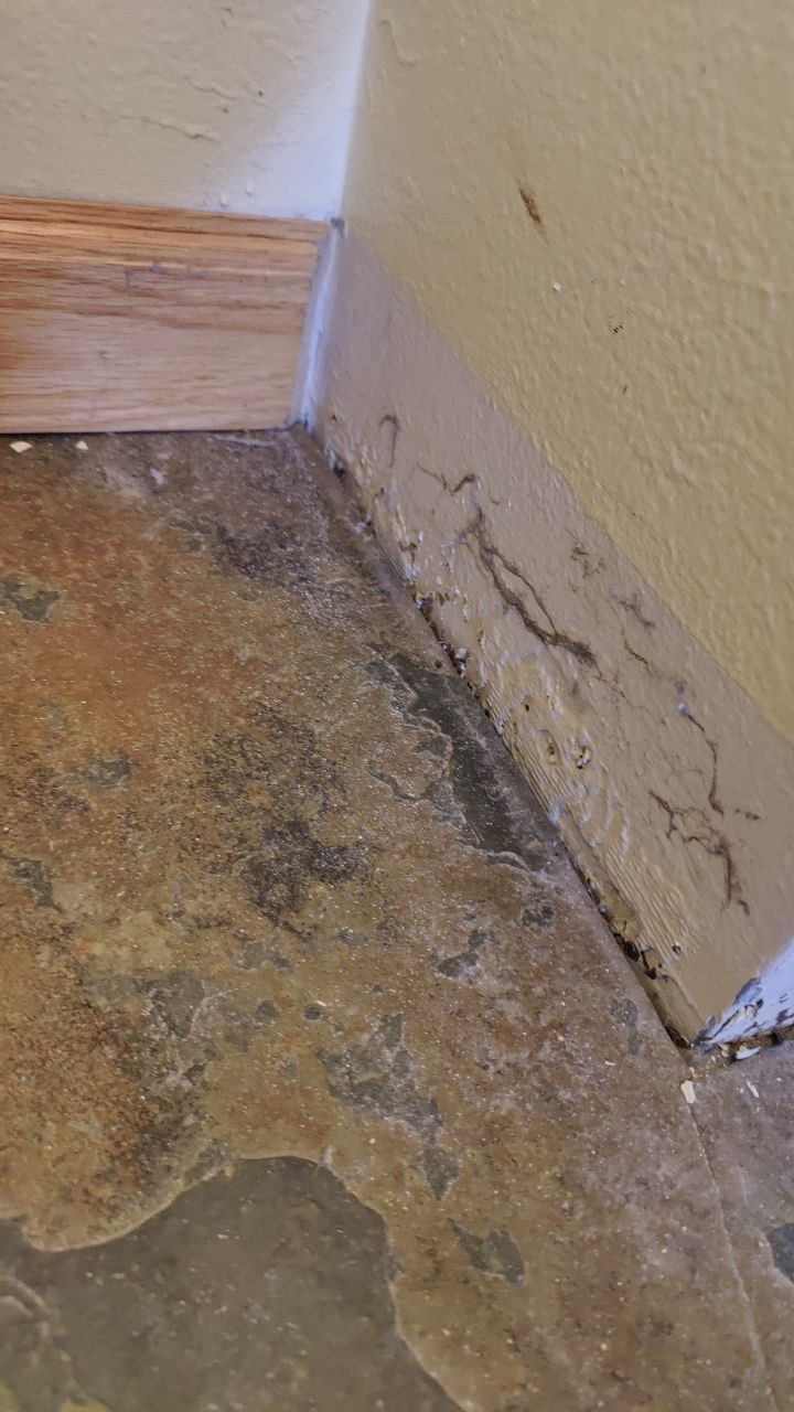 Water Damage  by Accountable Home Services