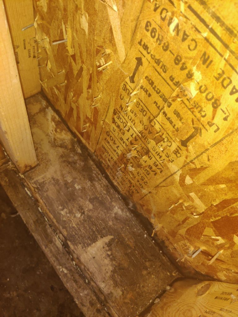 Mold Remediation in Bathroom by Accountable Home Services