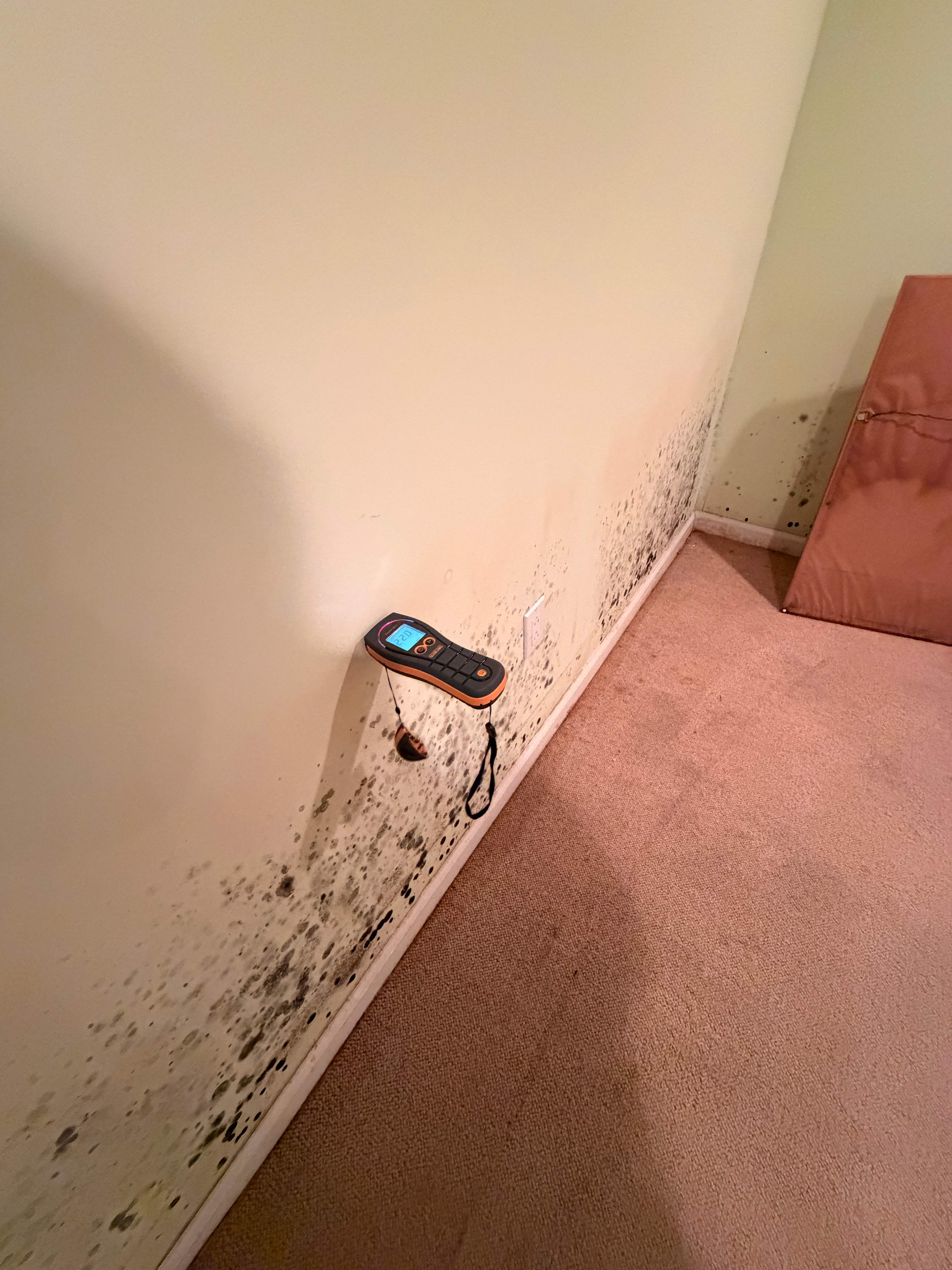 Water Damage / Mold Damage by Newhouse Restoration