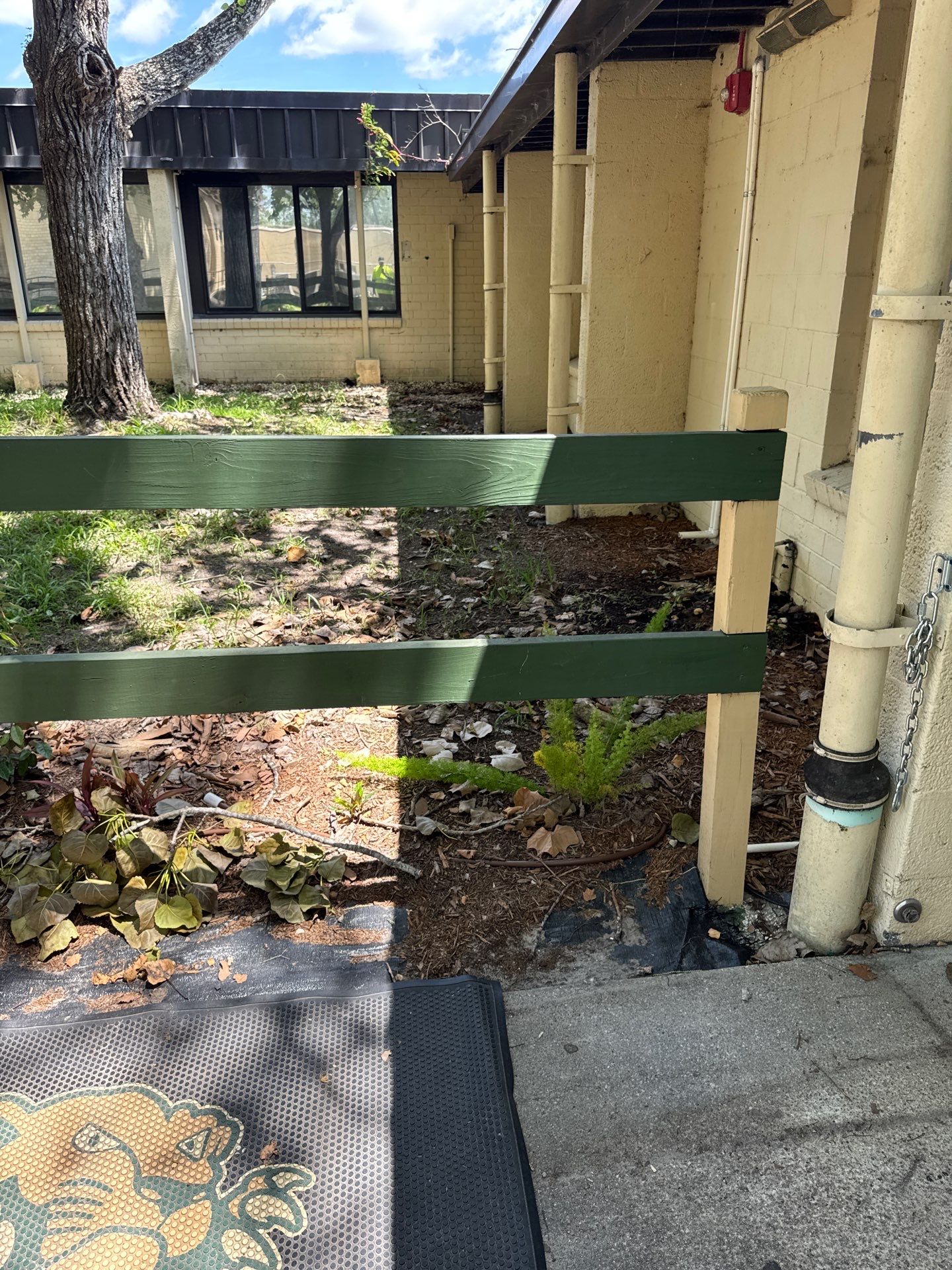 Green Cove Springs Junior High School | Landscape Refresh by ProGreen Services