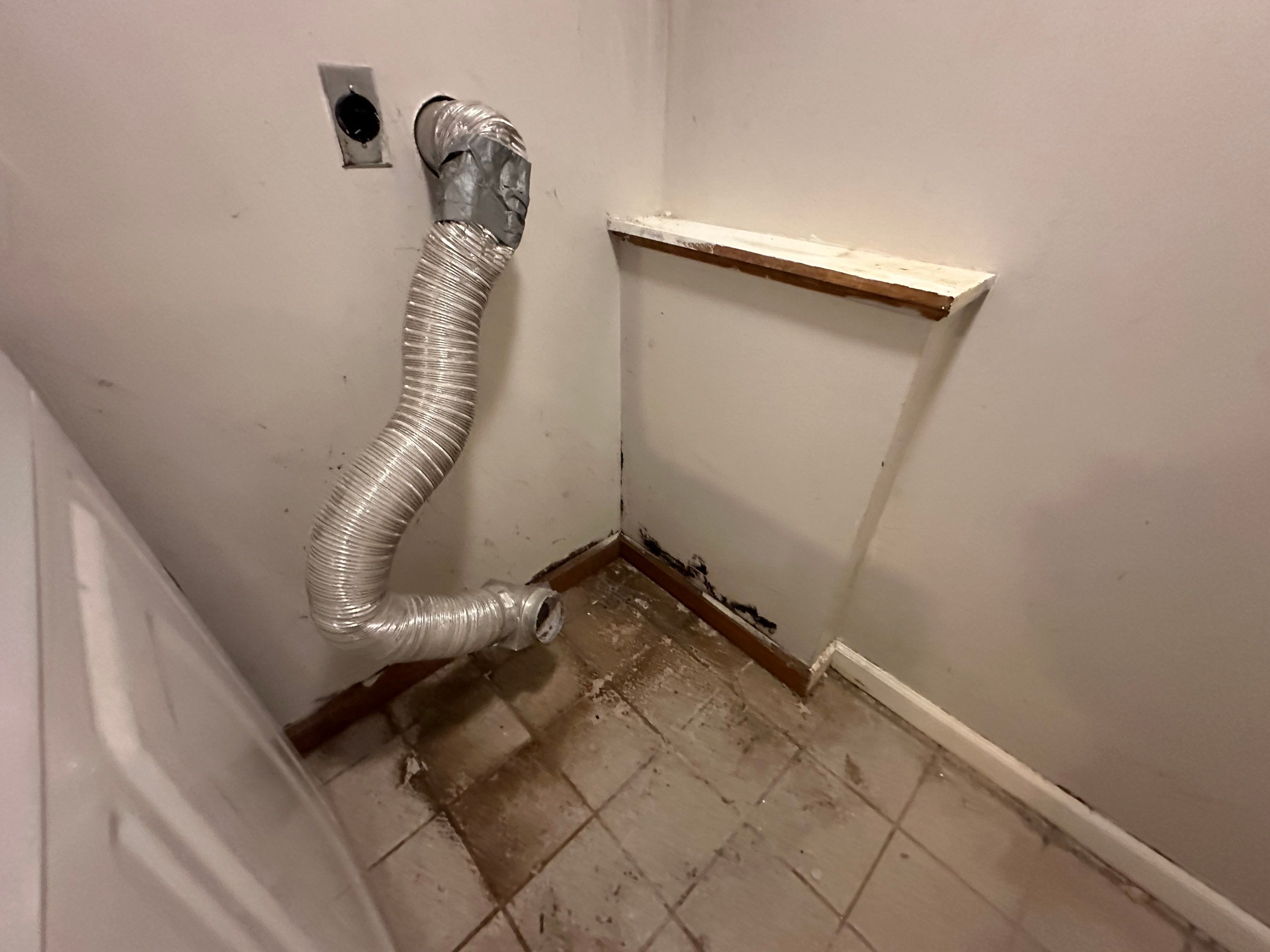 Basement Mold Remediation by Home Guarantee, LLC