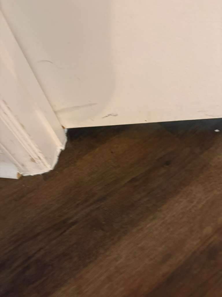 Project 49 by FMP Flooring
