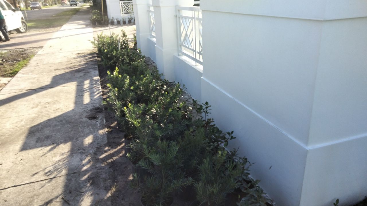 Hazard  by The Landscaping People