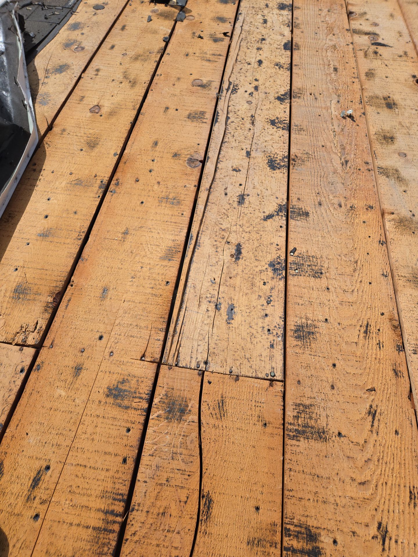 Project in Seminole 33772 by Mitchell Roofing Company LLC 