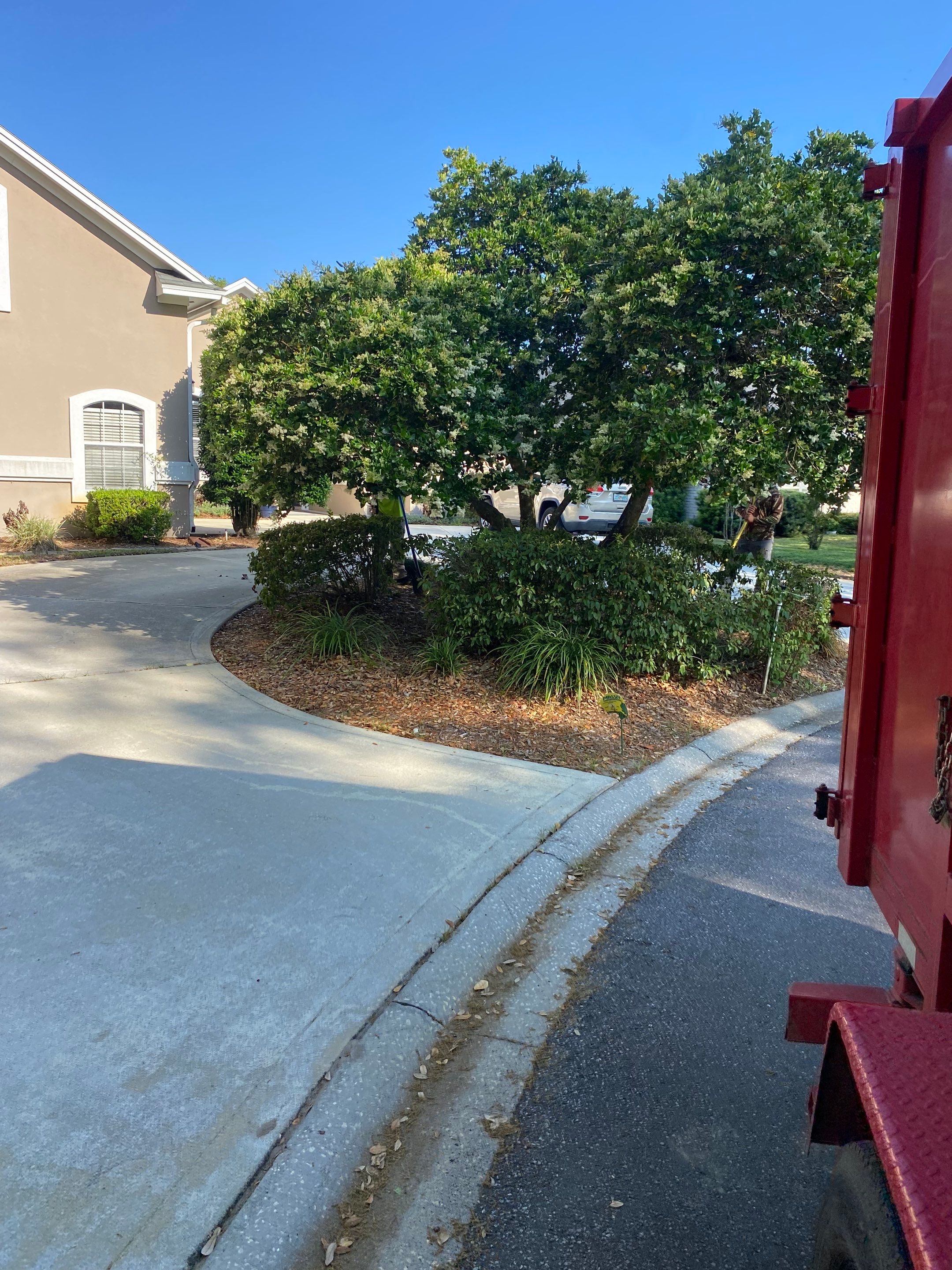 Deerwood Resident | Clean-Up and Sod by ProGreen Services