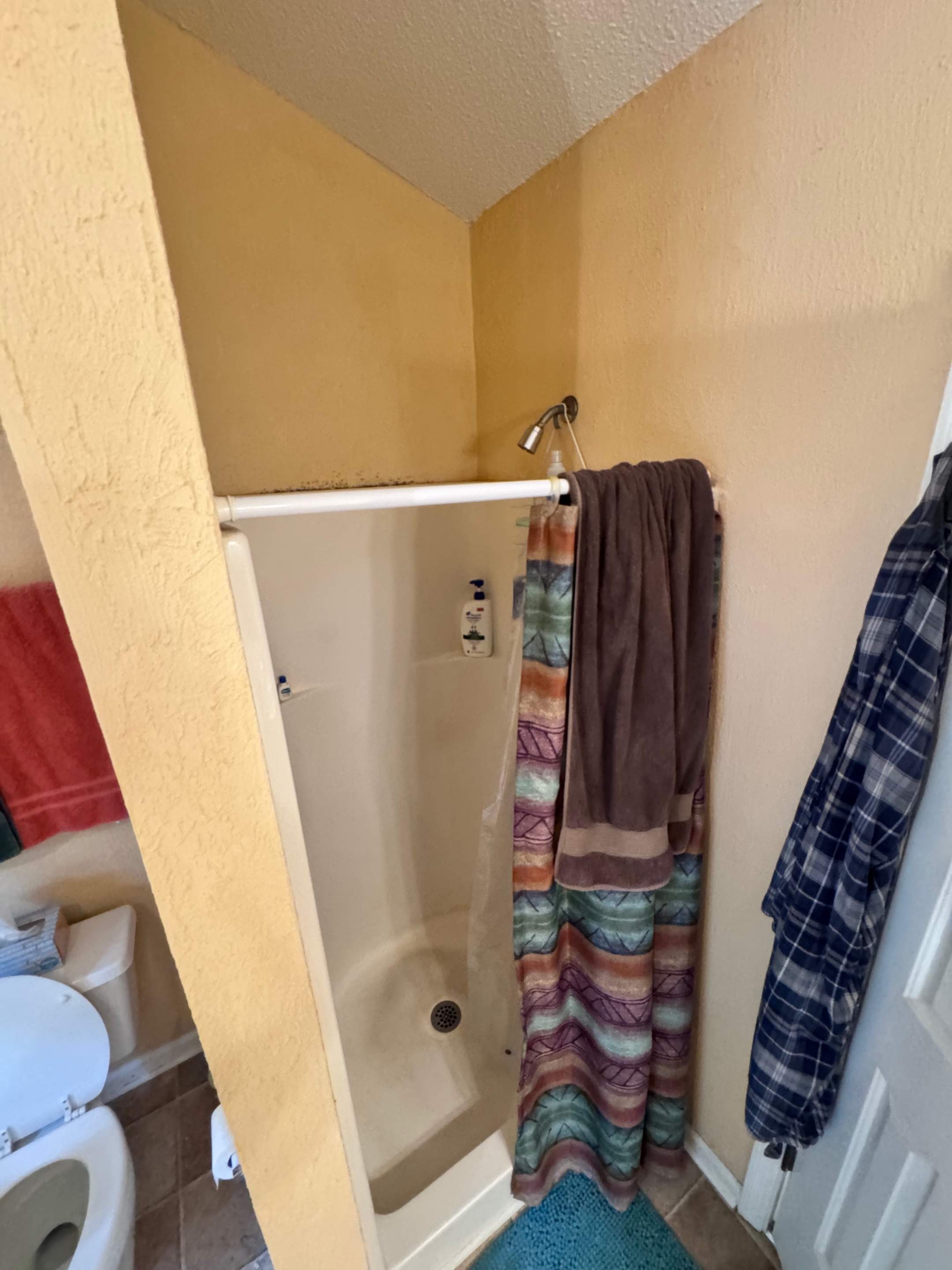 Master bathroom renovation by Prudencio
