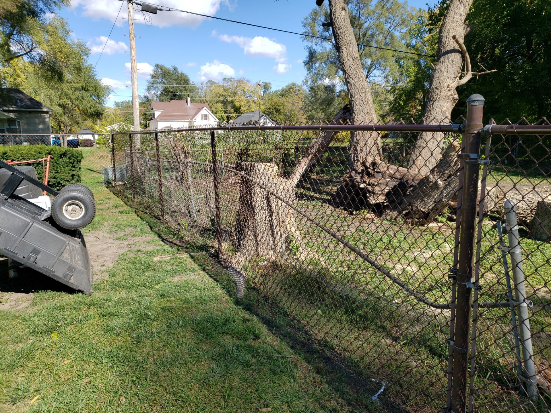 Project in Waterloo by Perfect Picket Fence and Stain