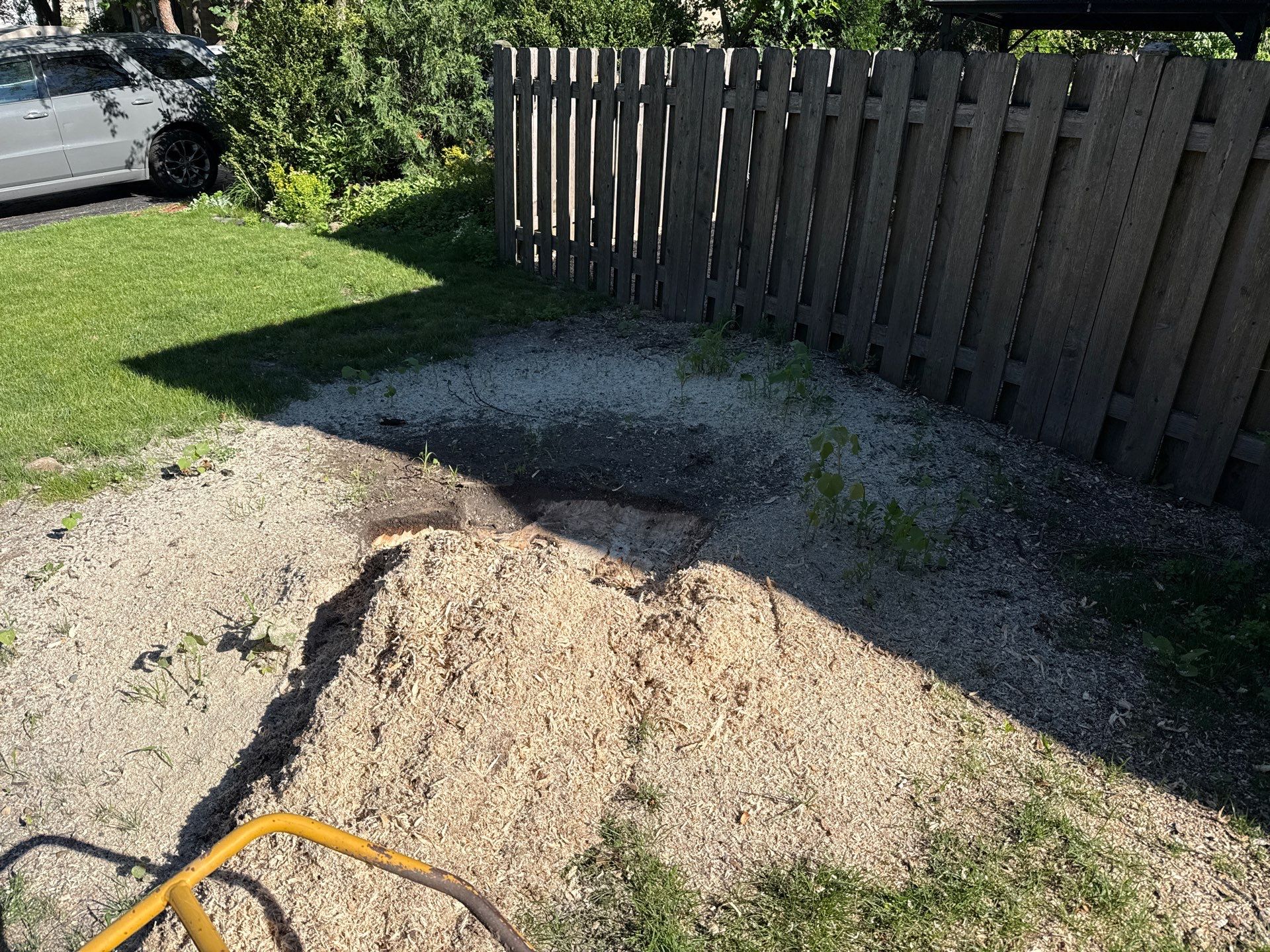 Amy N. - Arlington Heights, IL by A&N 