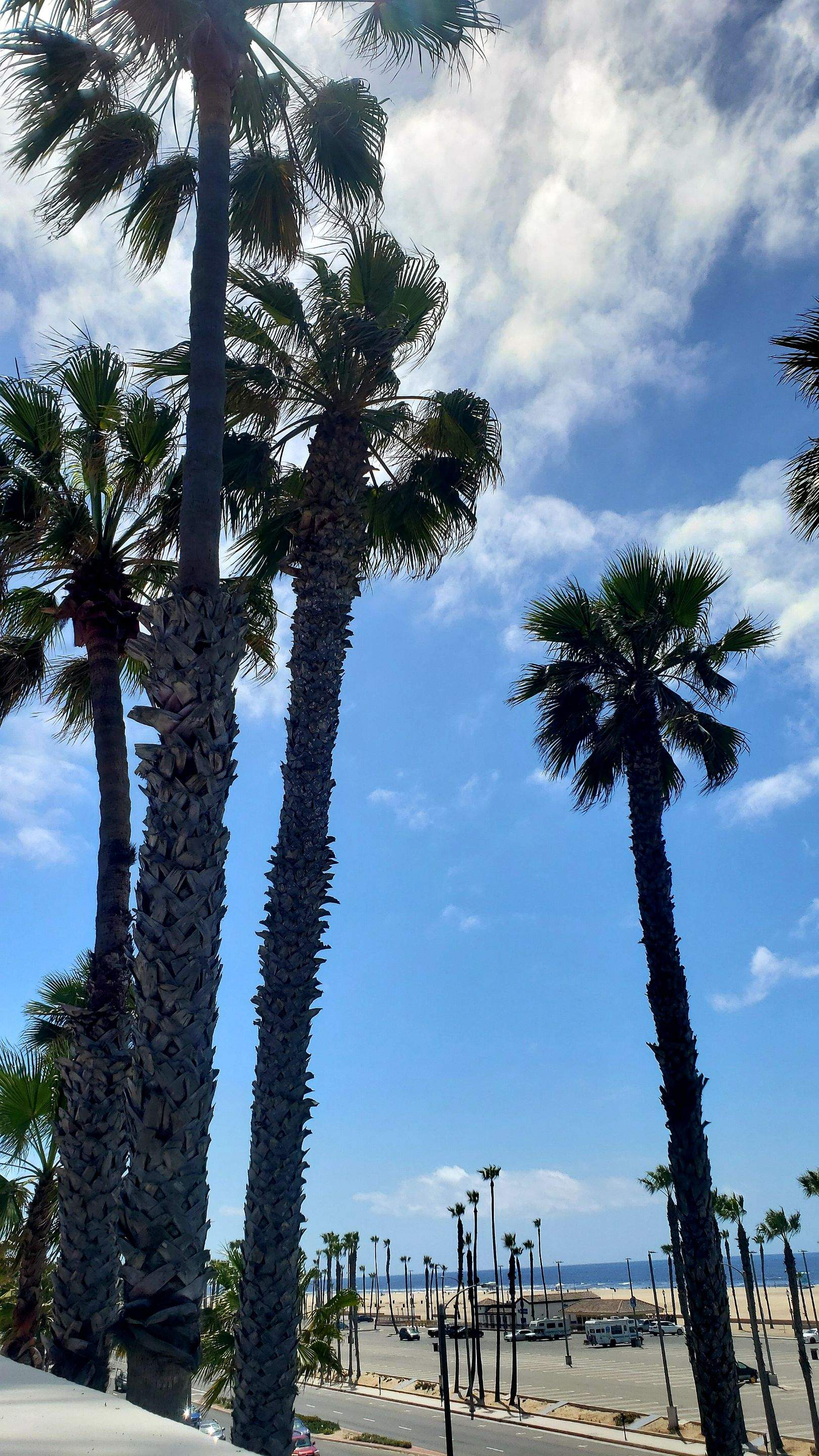 Hilton Waterfront Bistro Light Install by BrightLife Designs llc