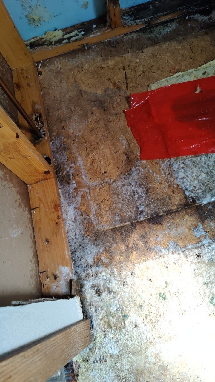 Water Damage and Mold Remediation by Accountable Home Services