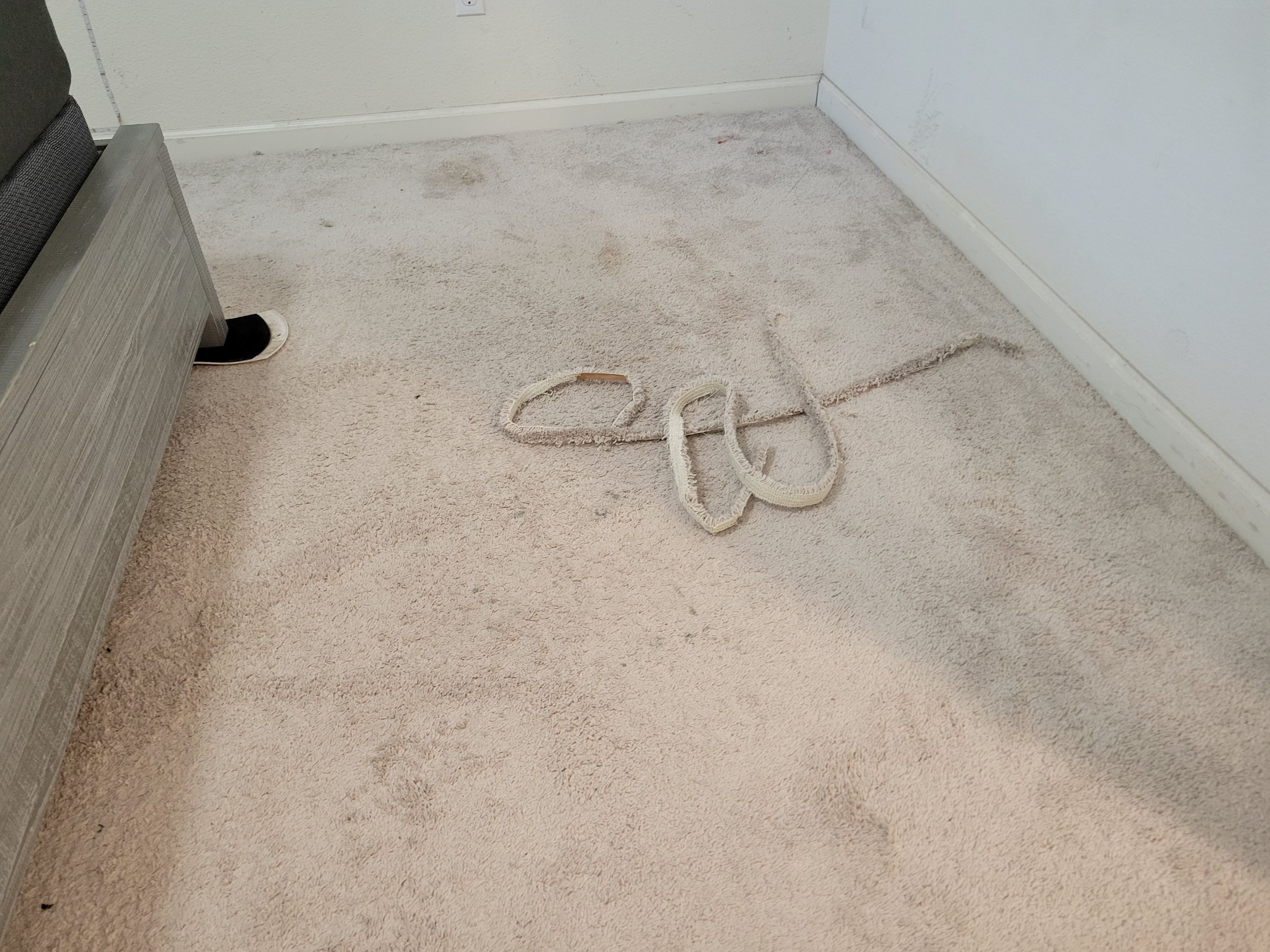 Re-Stretch and Cleaning of a Buckled Carpet by Ardent Carpet Restore LLC