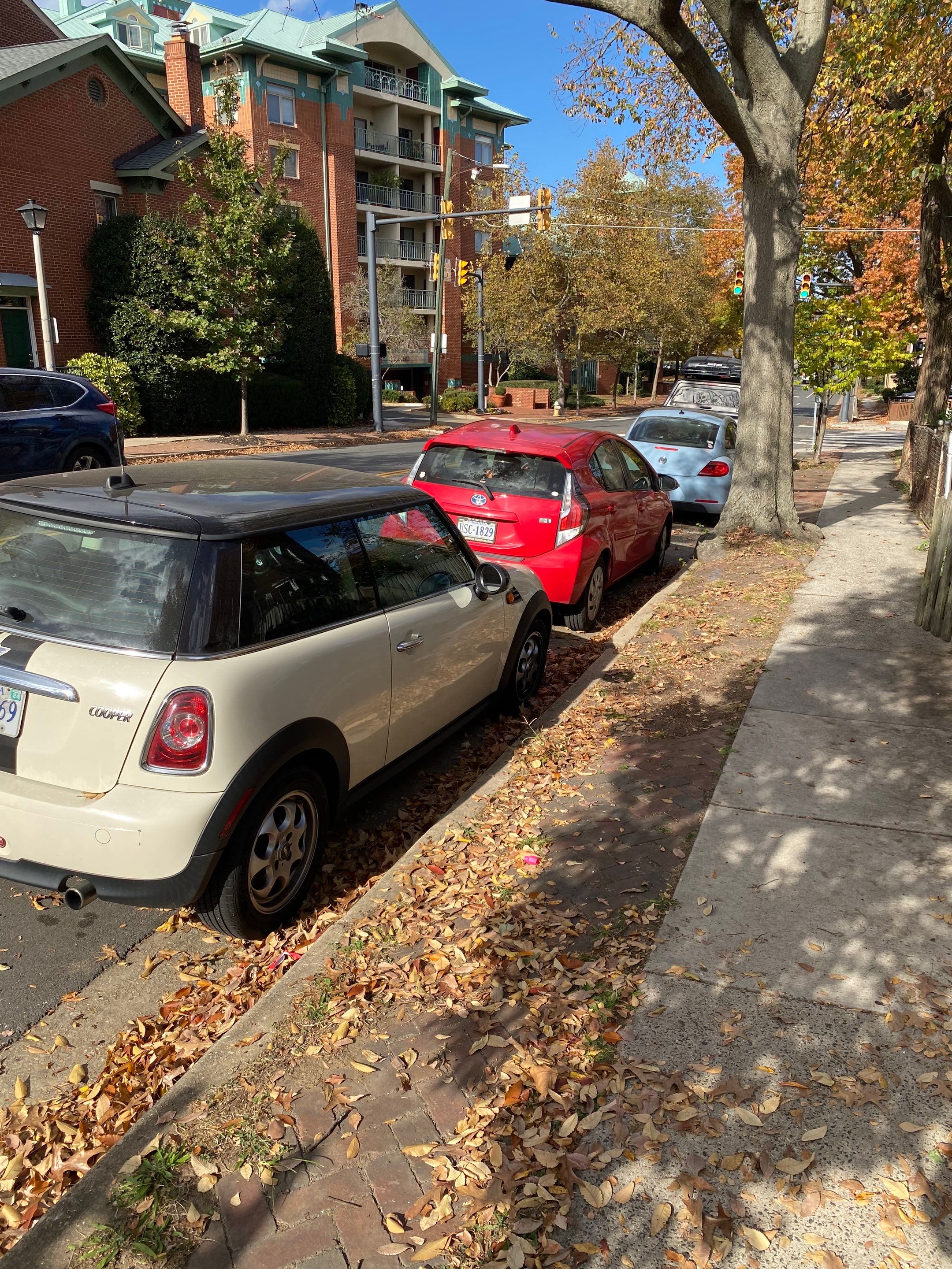 Alexandria: Residential Flat Roof Replacement with Mule Hide TPO Membrane by RM Banning, Inc.