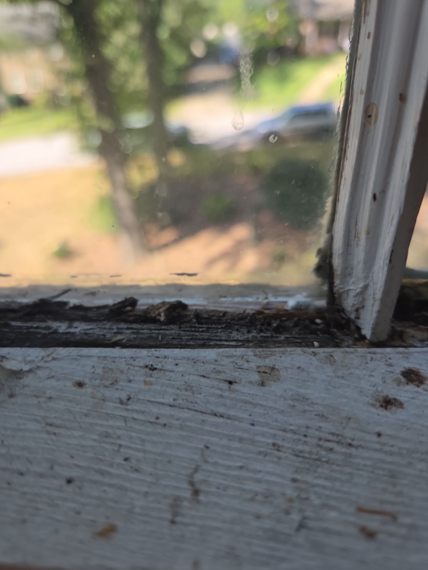 Florio Project in Vestavia  by The Window Source