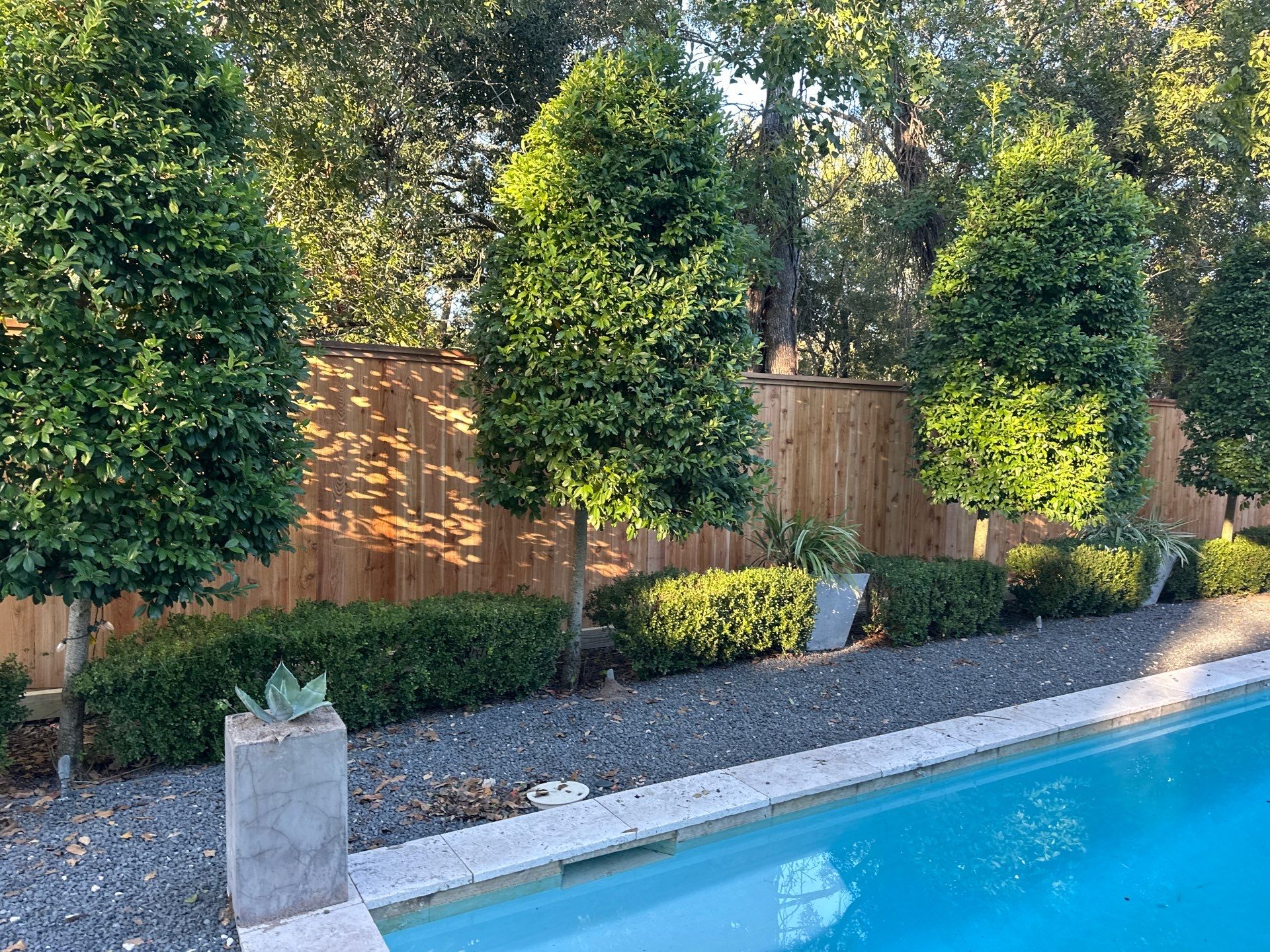 Fence Installation for Poolside Paradise by Tim's Fences