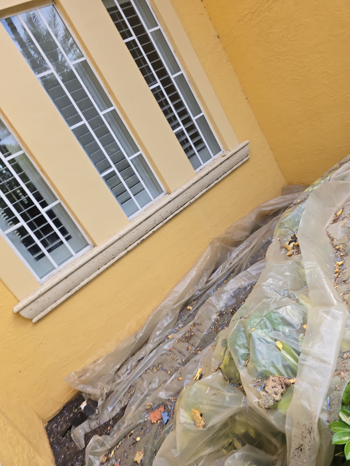 Metal Roof in Davie by Roofing Recovery