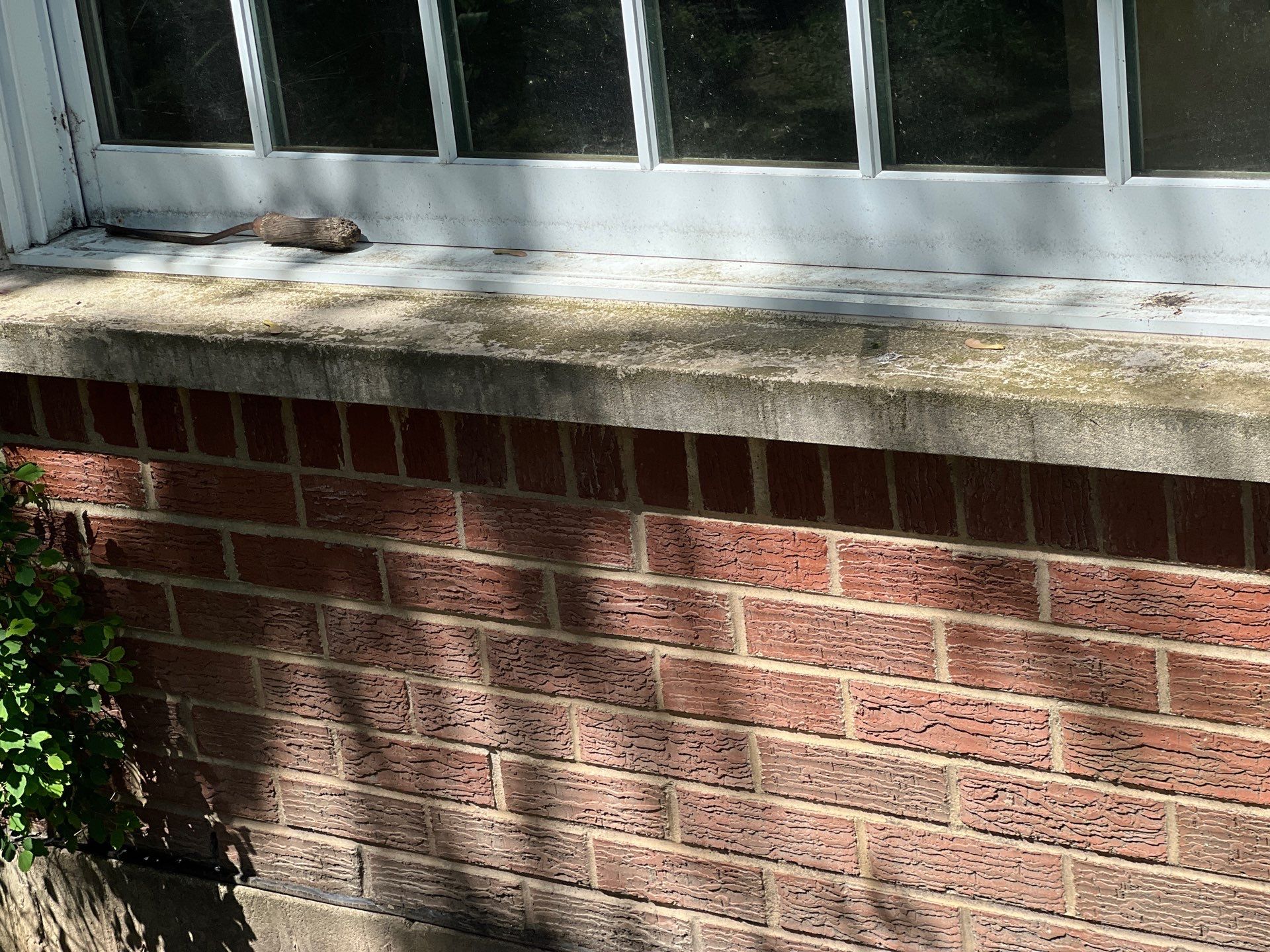 Housewashing  using Algaecide, soft wash soap by Northern Power Washing LLC.