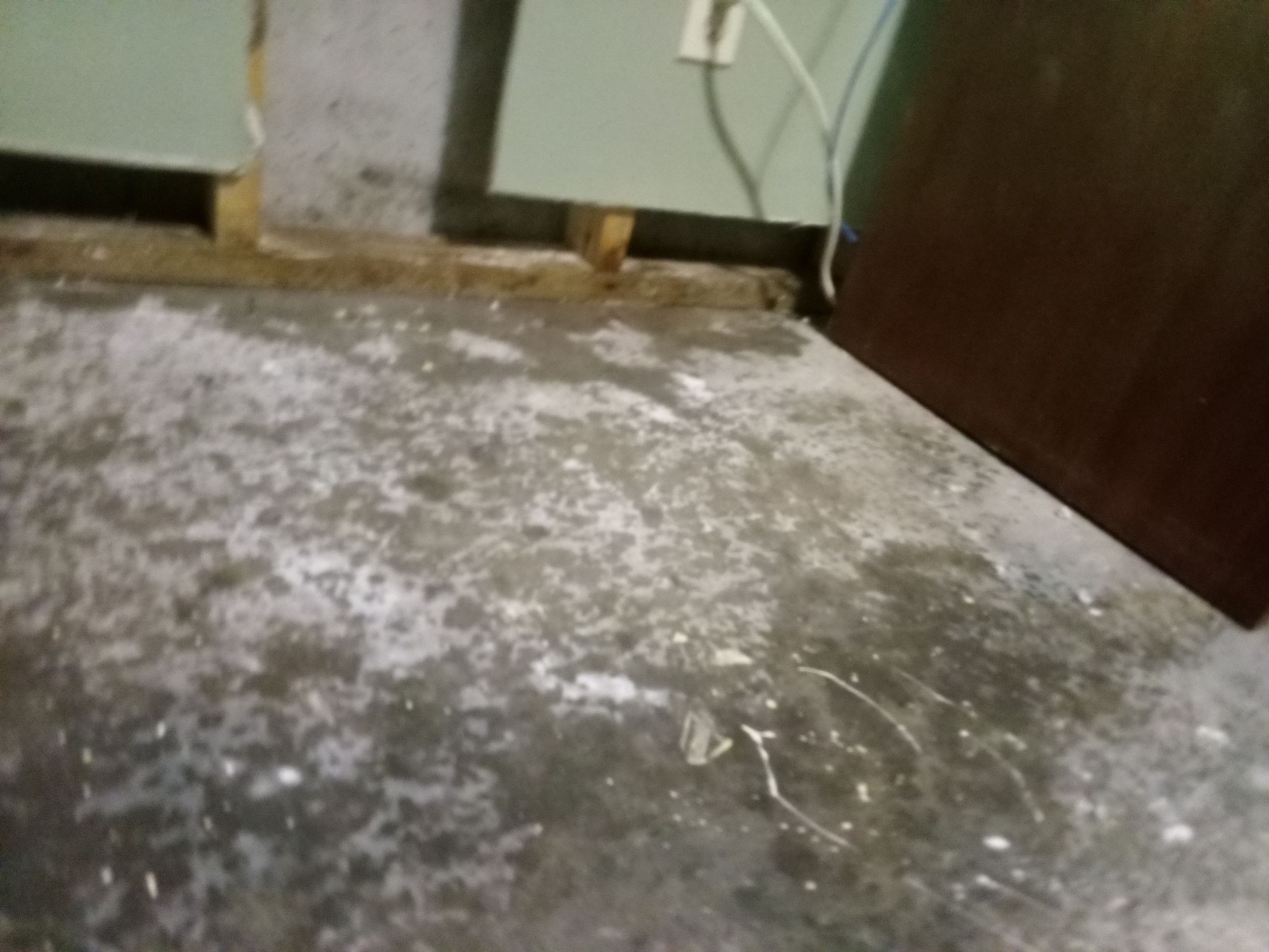 After Hours Water Mitigation Services by ANR Restoration