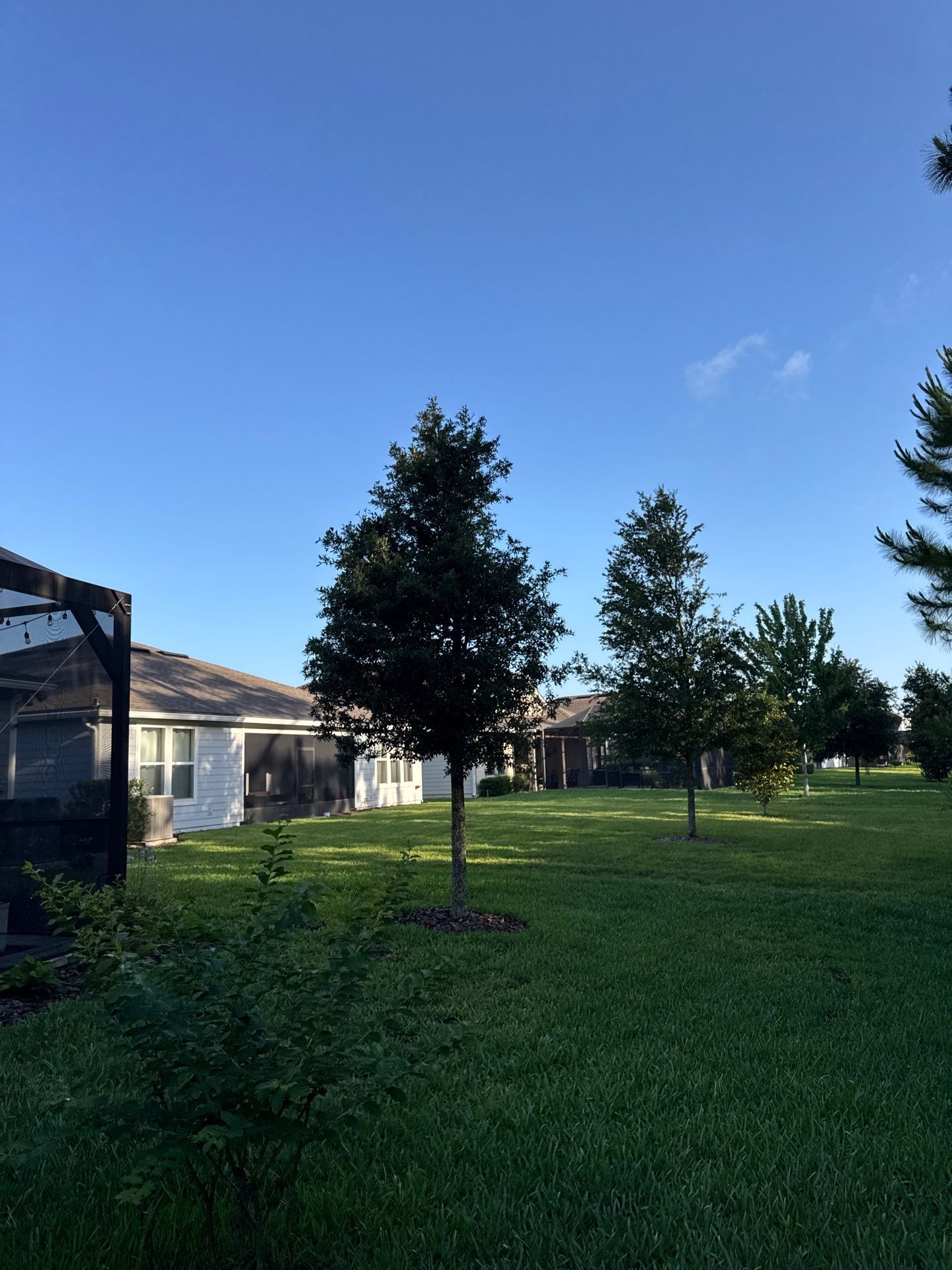 Residential | Topsoil Install & Tree Trimming by ProGreen Services