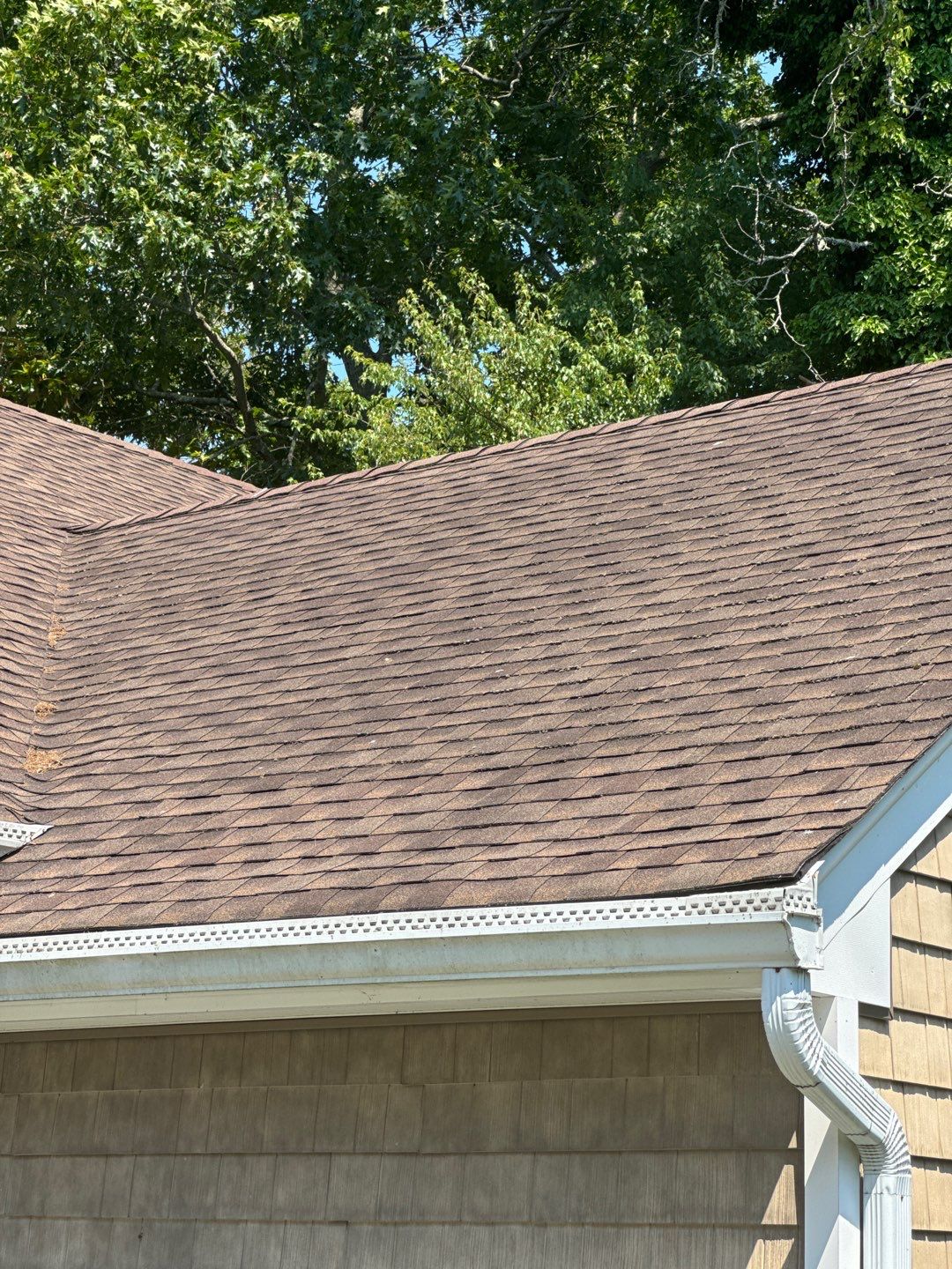 Multi Service using Roof Wash by SJ Exterior