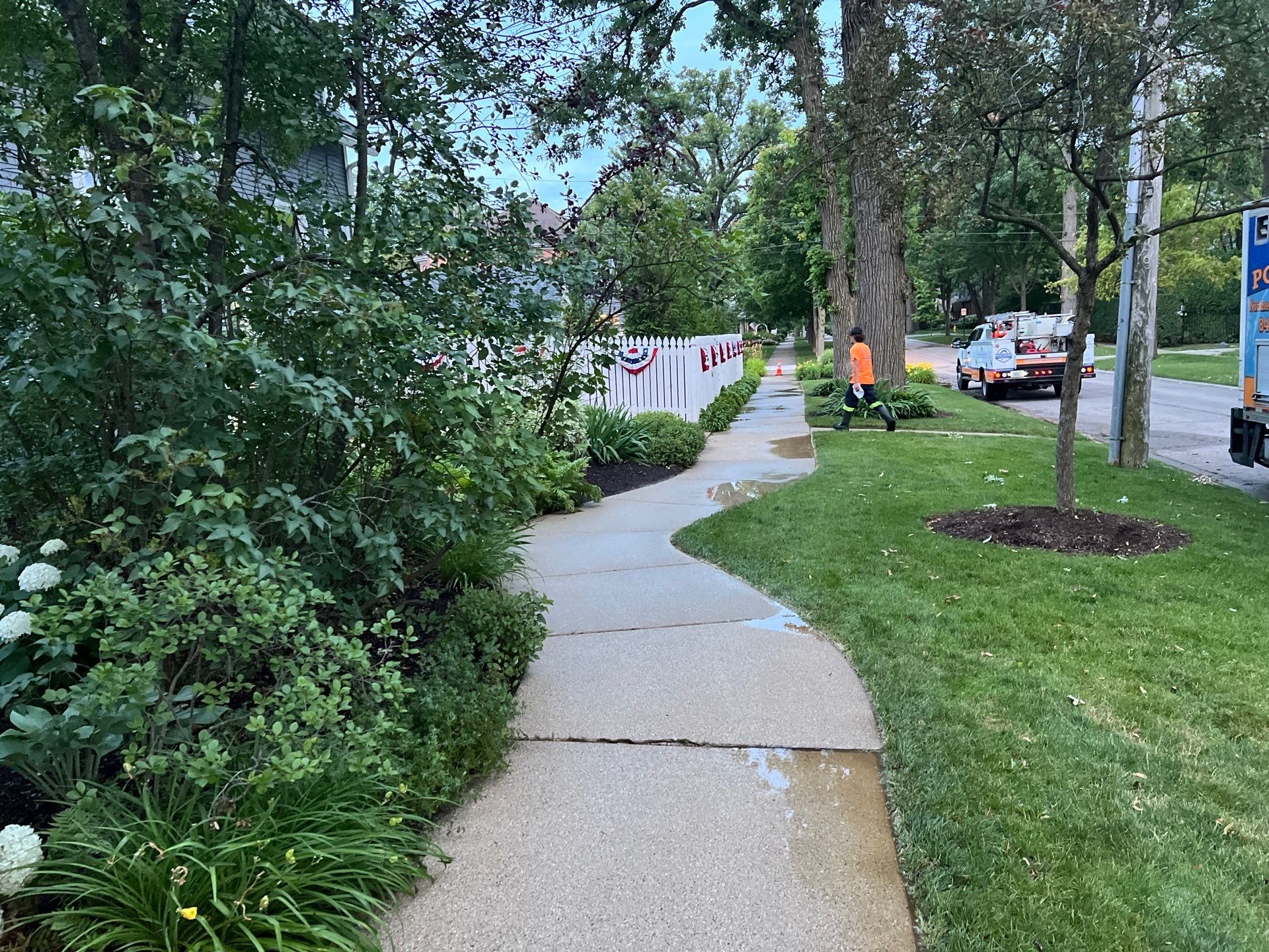 concrete cleaning using Algaecide, soft wash soap by Northern Power Washing LLC.