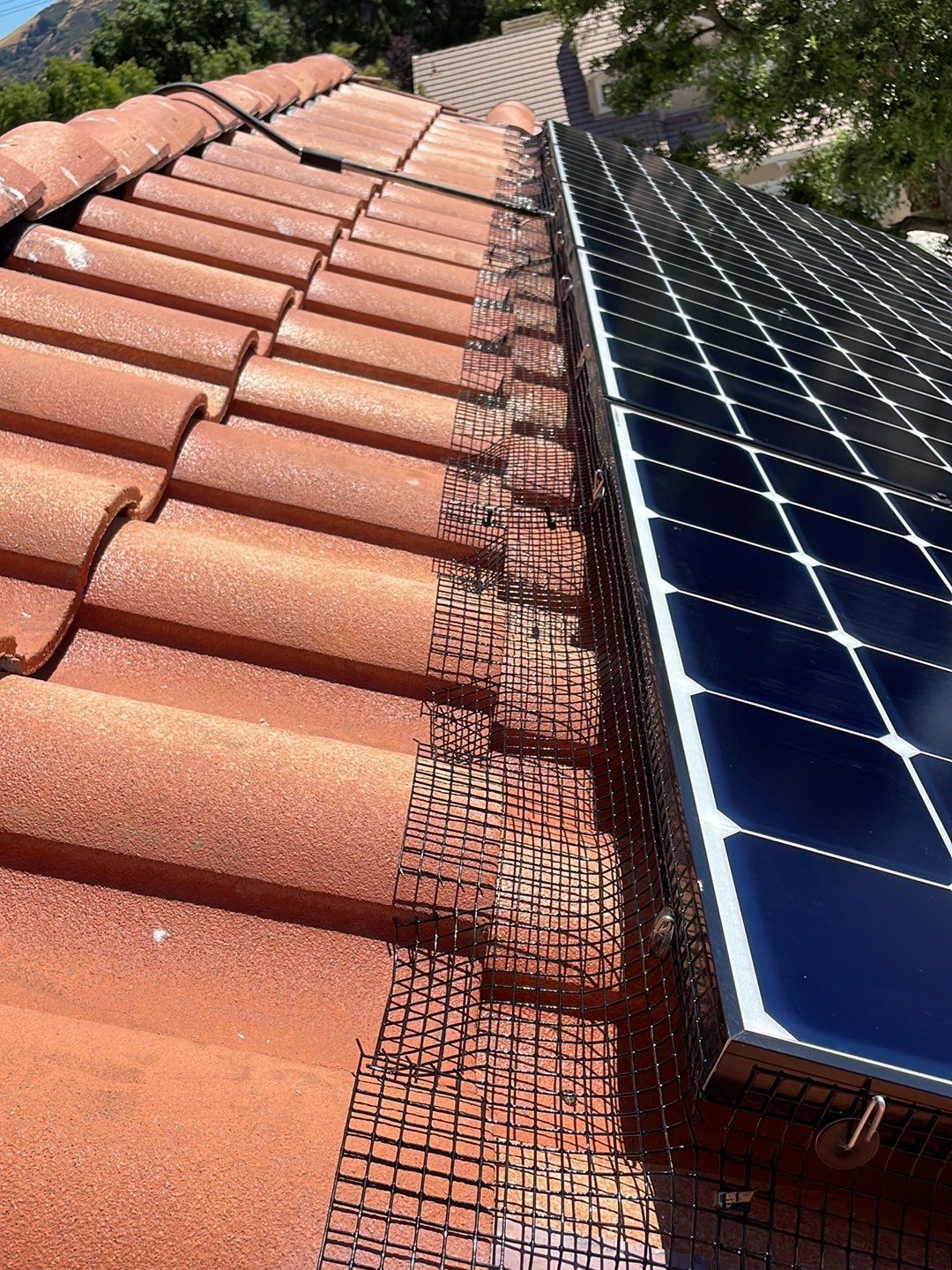 Solar Panel Bird Proofing using Critter Guard Mesh by All One Solar Shine