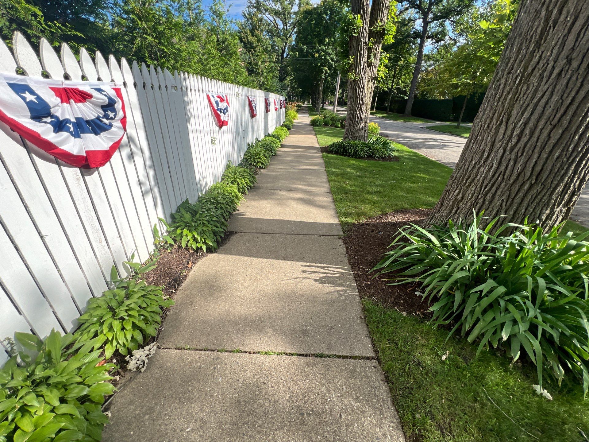 concrete cleaning using Algaecide, soft wash soap by Northern Power Washing LLC.