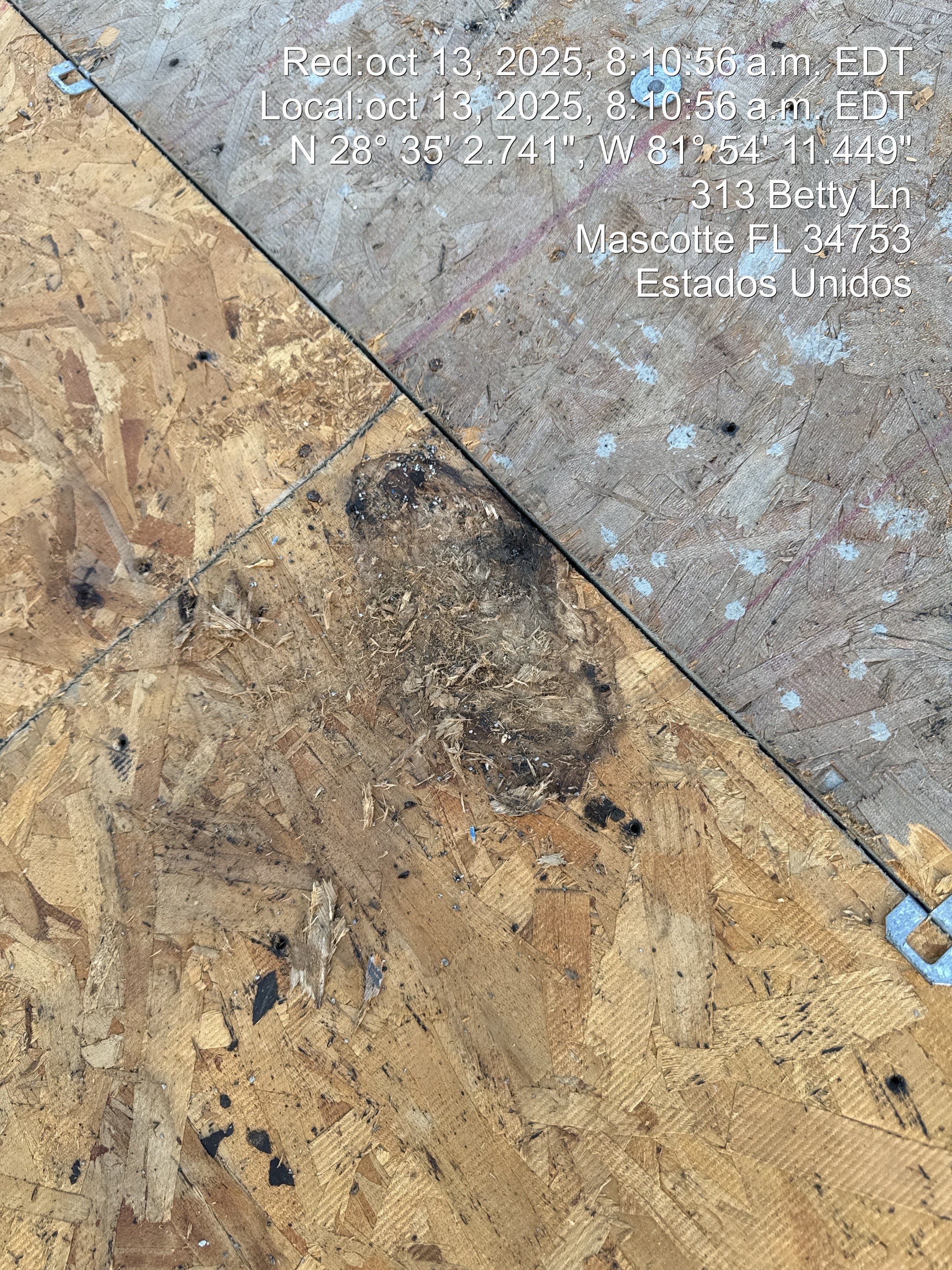 Project in Mascote by You Restorations LLC DBA YOU-Home