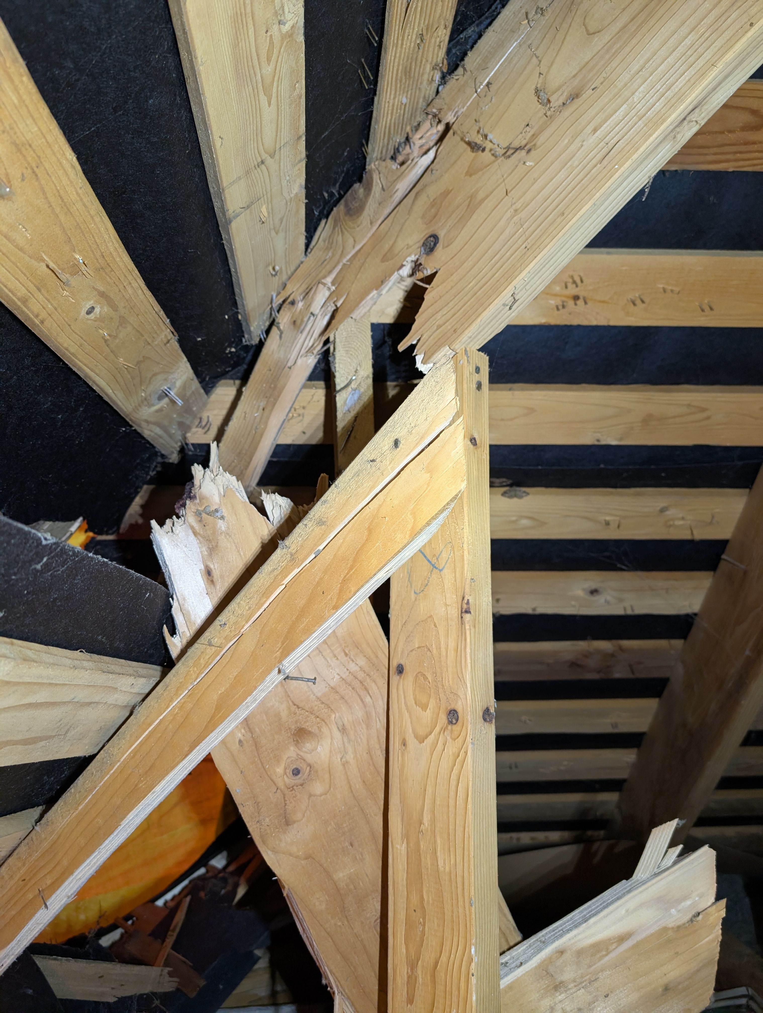 Tree Strike Repair - Issaquah by RoofSmart