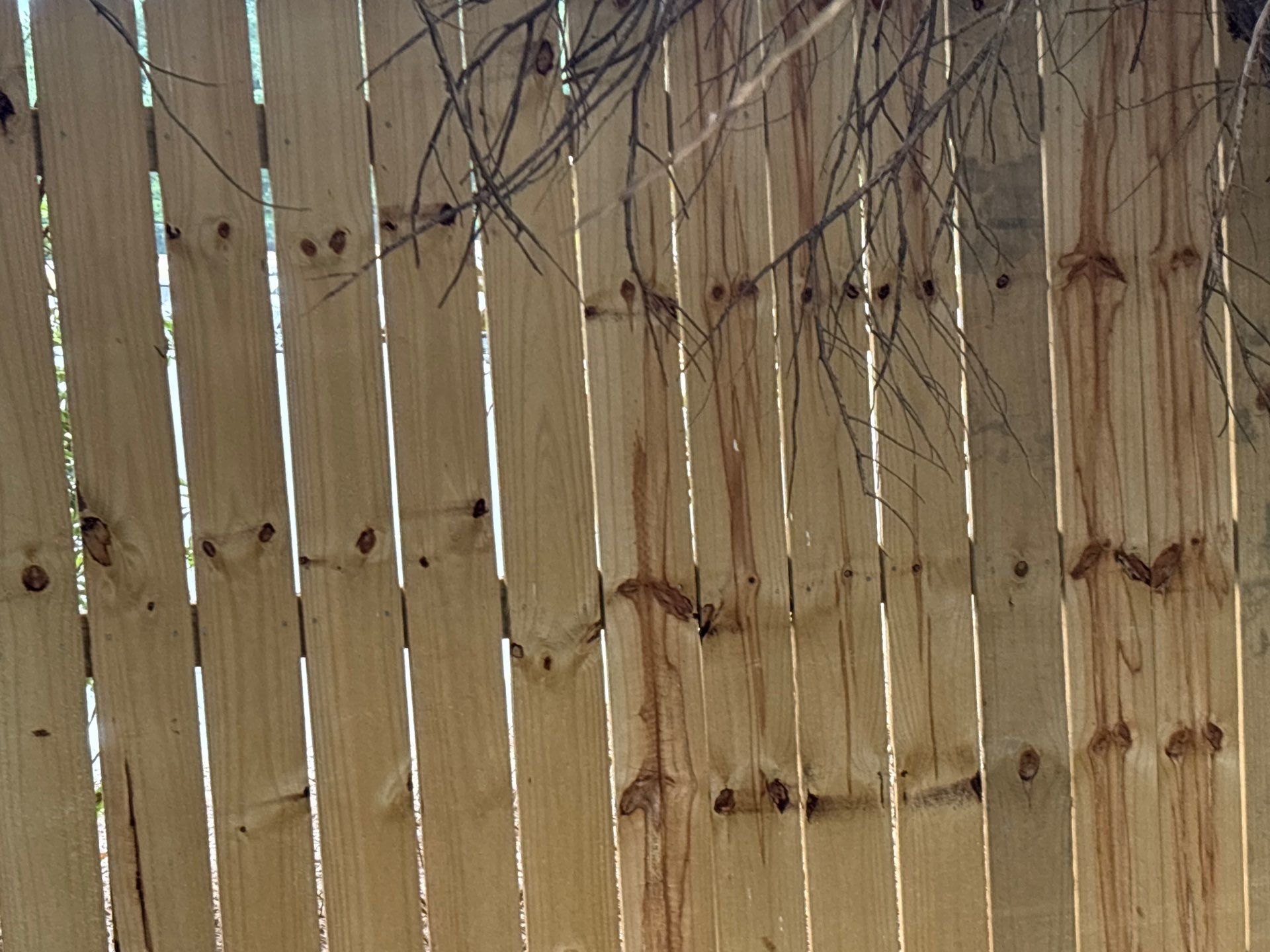 Fence using Wood Sealant by DuraSeal