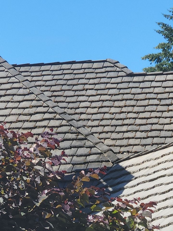 Moss Removal/ Treatment using Biocide by Willamette Outdoor Wash LLC