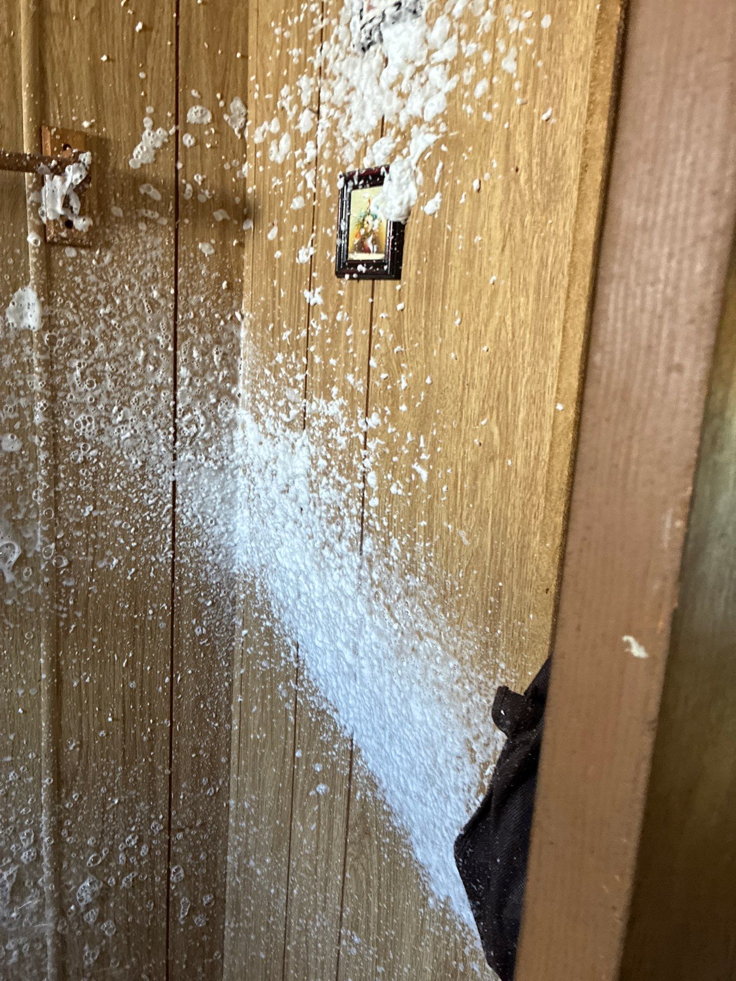 Project in Auburn by 911 Hazmat Cleanup 