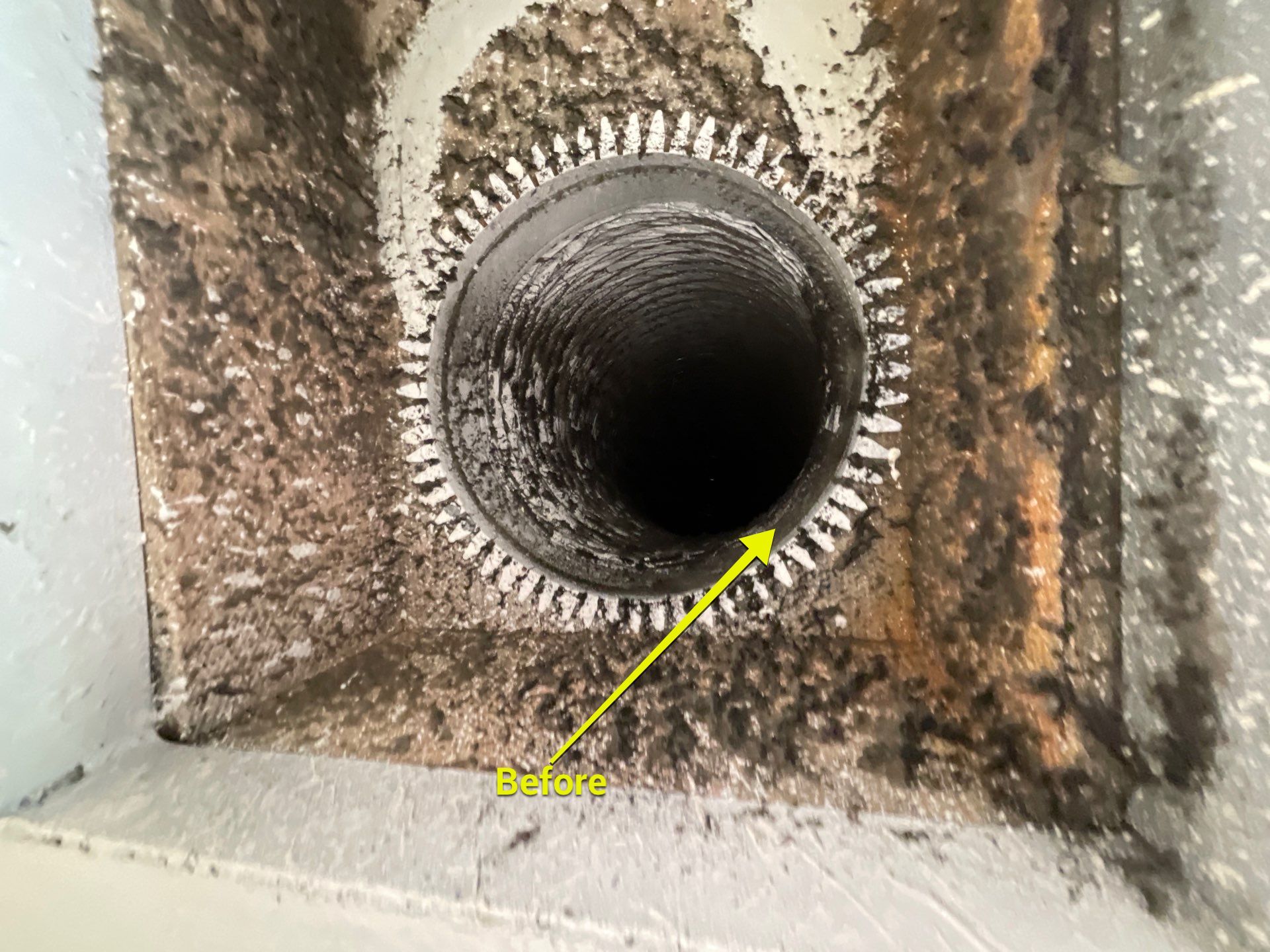 Air Duct Cleaning in Bartow by Hygienic Air, Inc